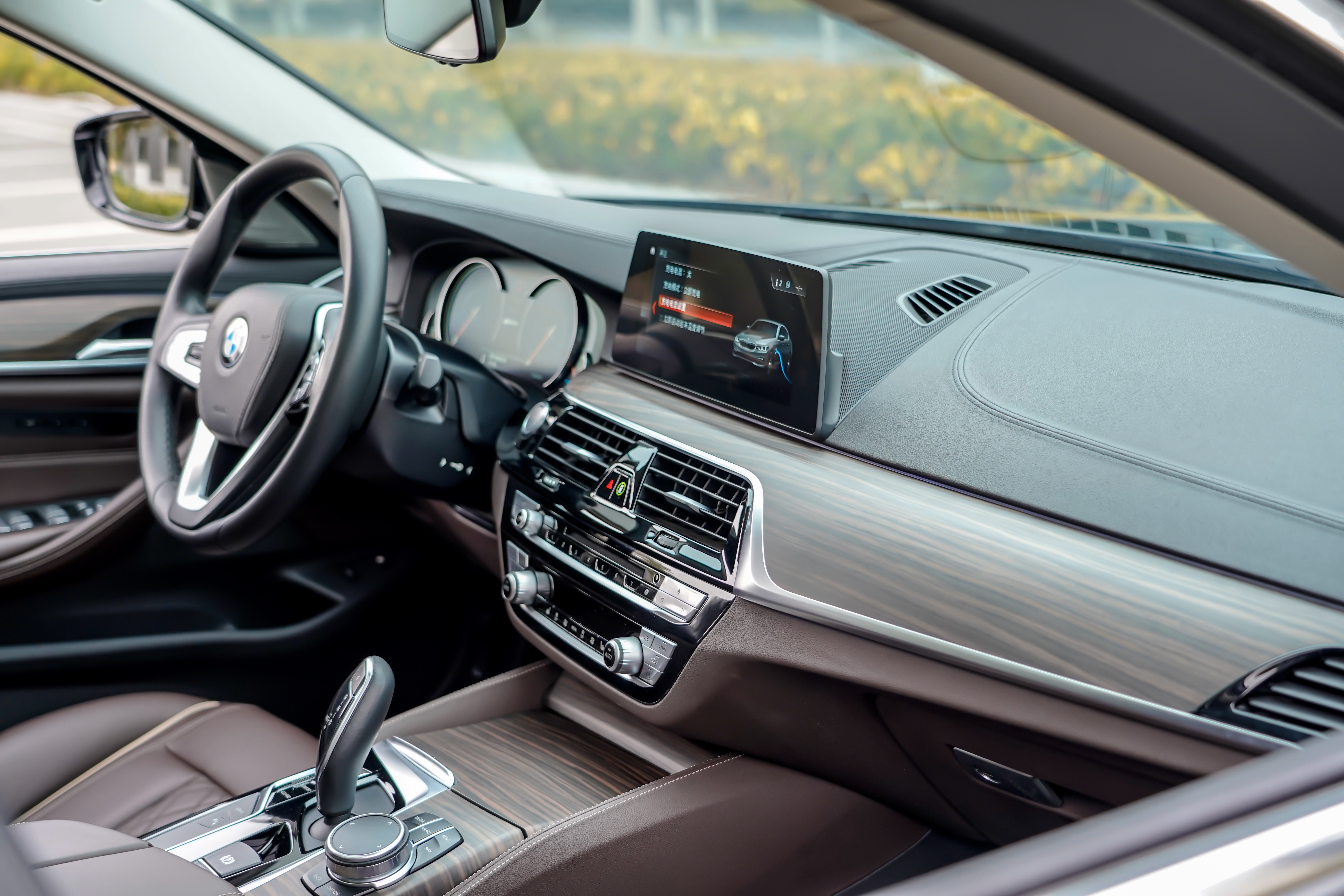 BMW 5 Series New Energy 2018 car image #17