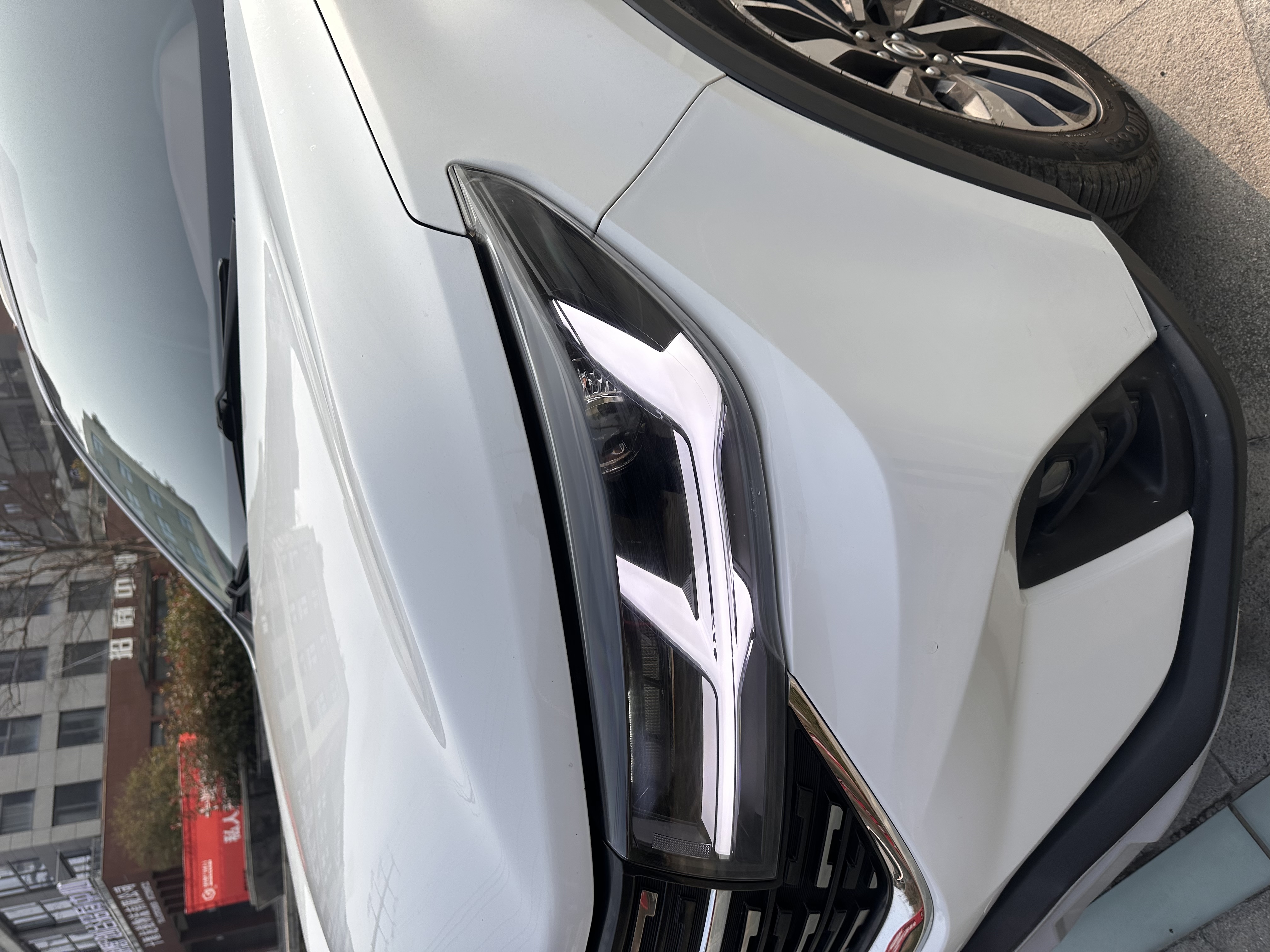 T5 2019 car image #17