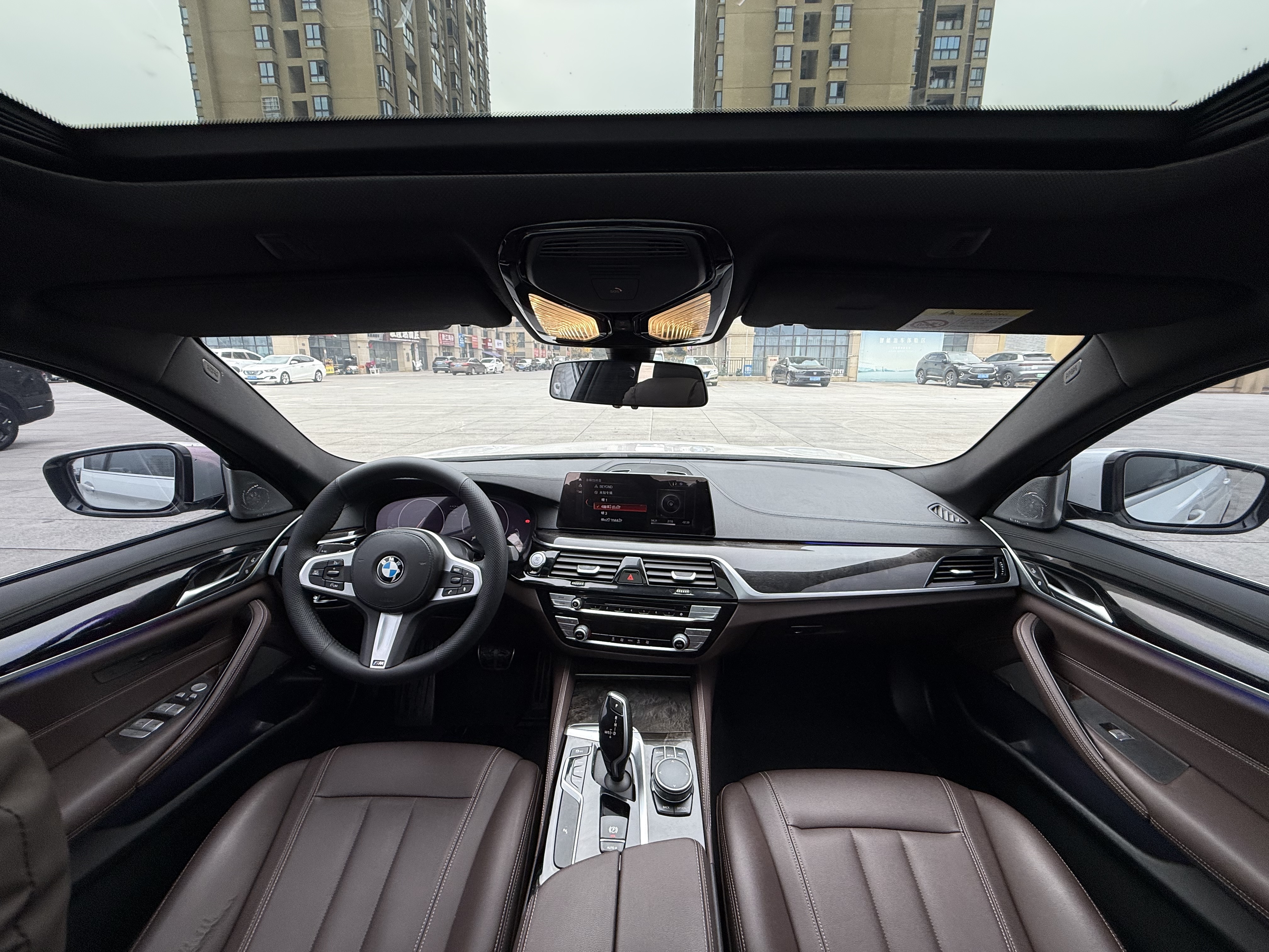 BMW 5 Series 2019 car image #17