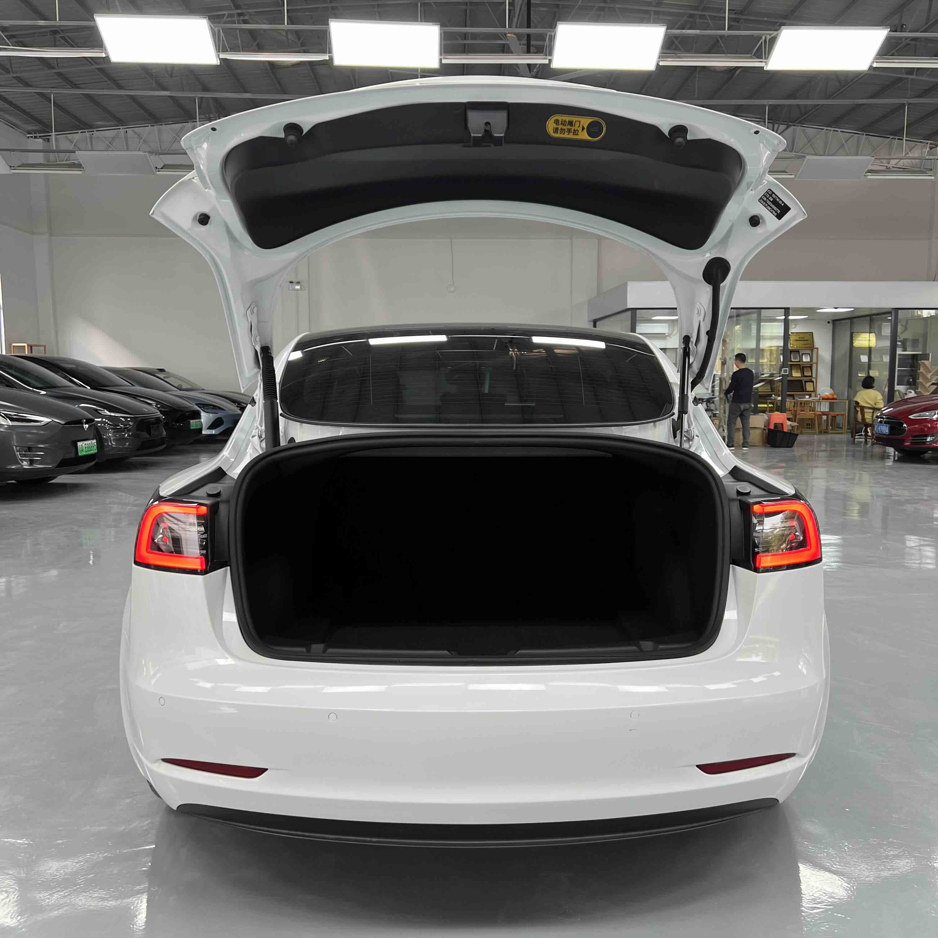 特斯拉 Model 3(进口) 2019 汽车图片 #17