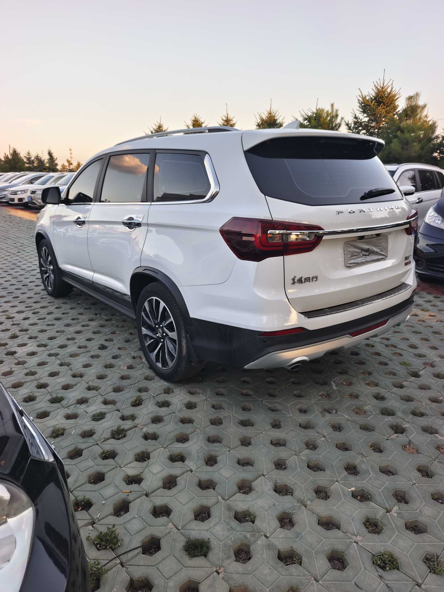 T5 L 2019 #17 T5 L 2019 immagine di auto #17