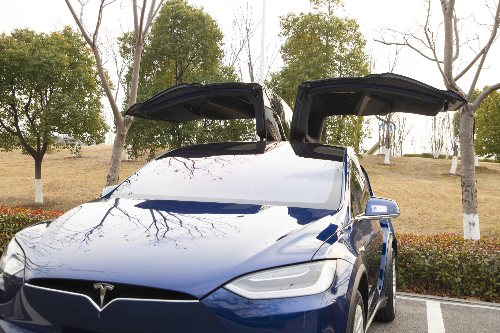 特斯拉 Model X 2019 汽车图片 #17