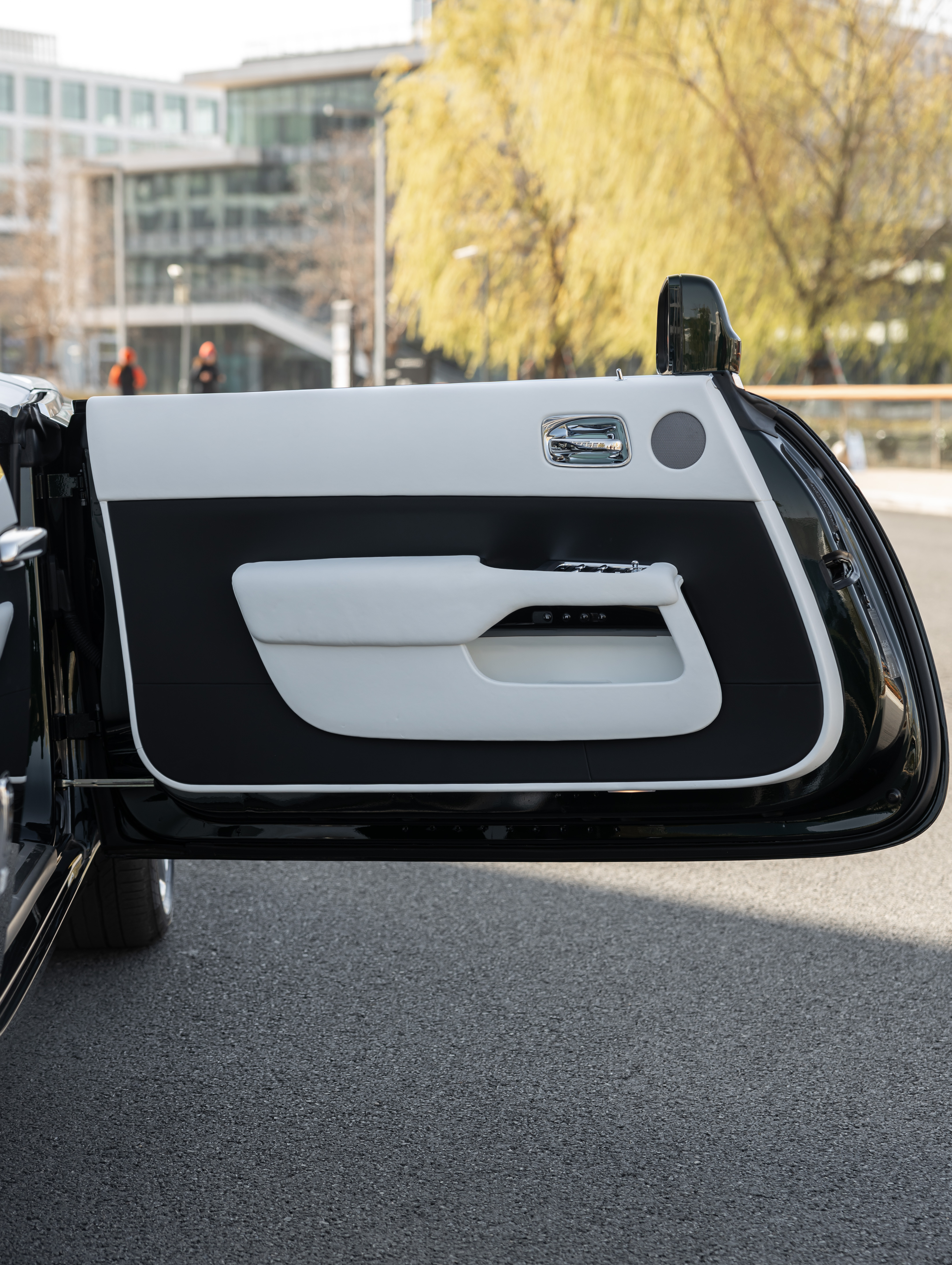 劳斯莱斯 曜影 2019 汽车图片 #17