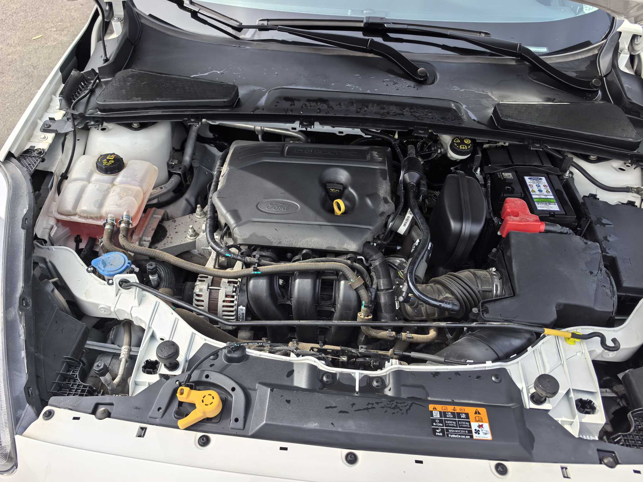 Ford Escort 2021 car image #17