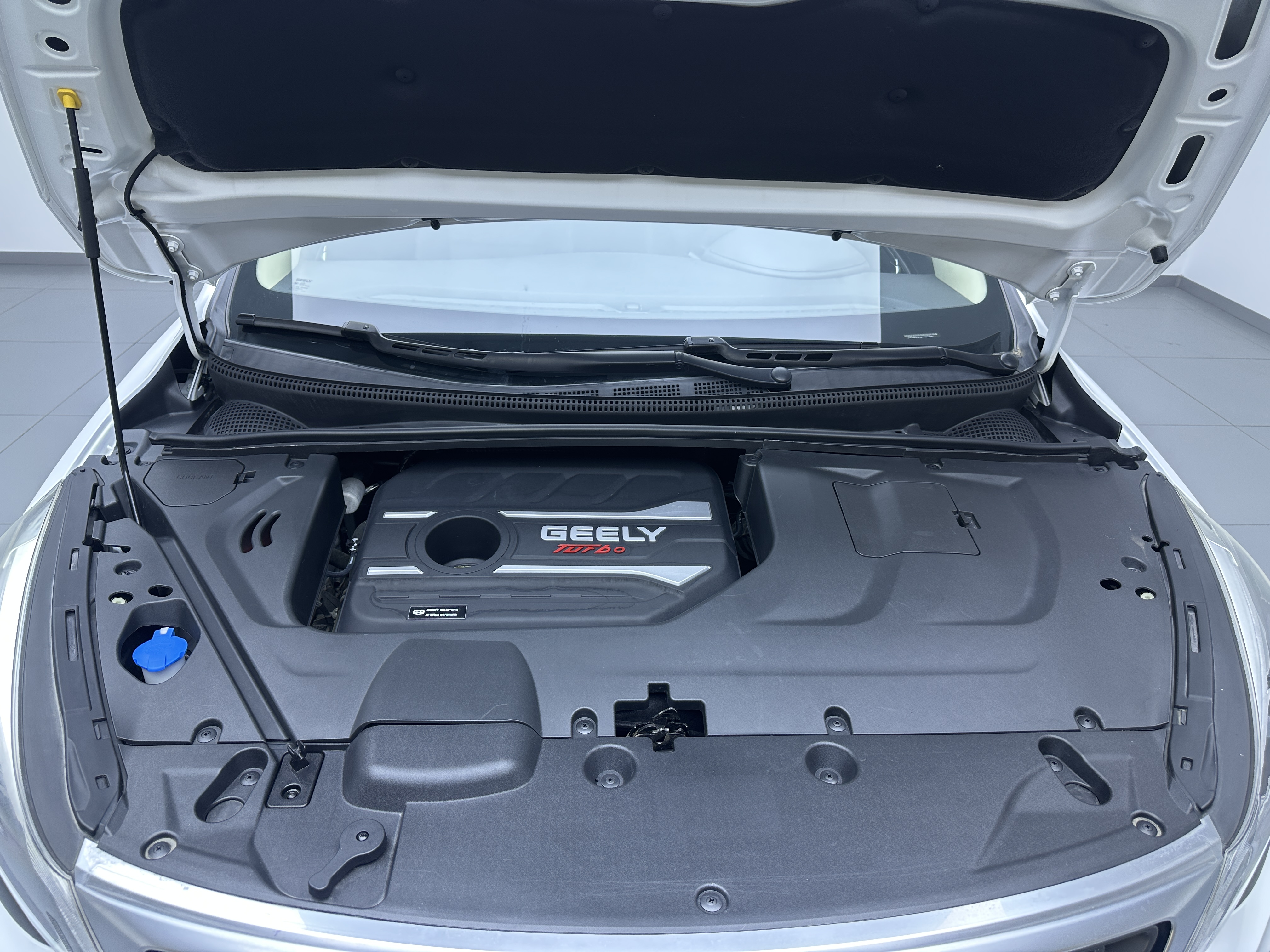 Emgrand GS 2019 #17 Emgrand GS 2019 car image #17