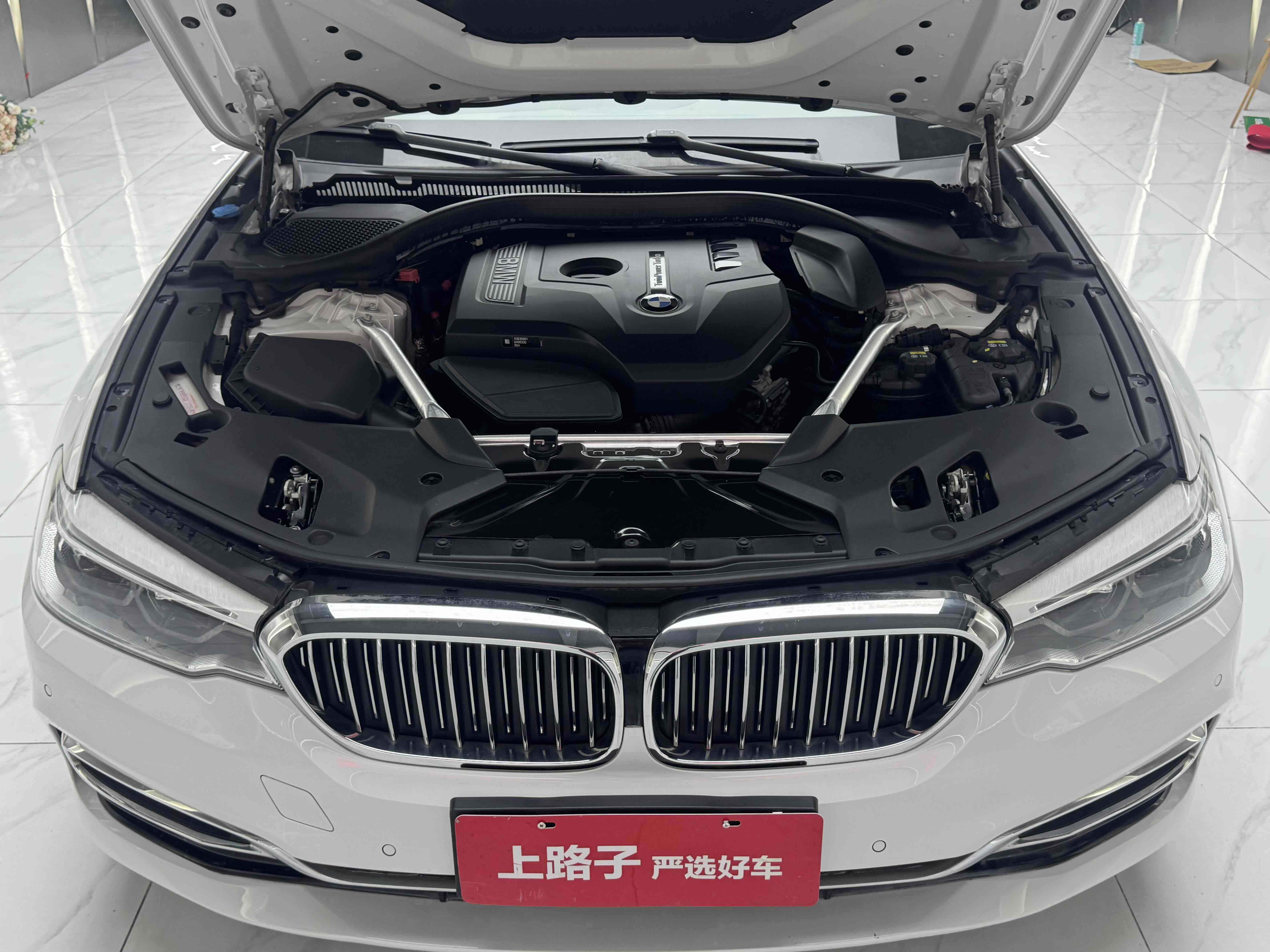 BMW 5 Series 2020 car image #17