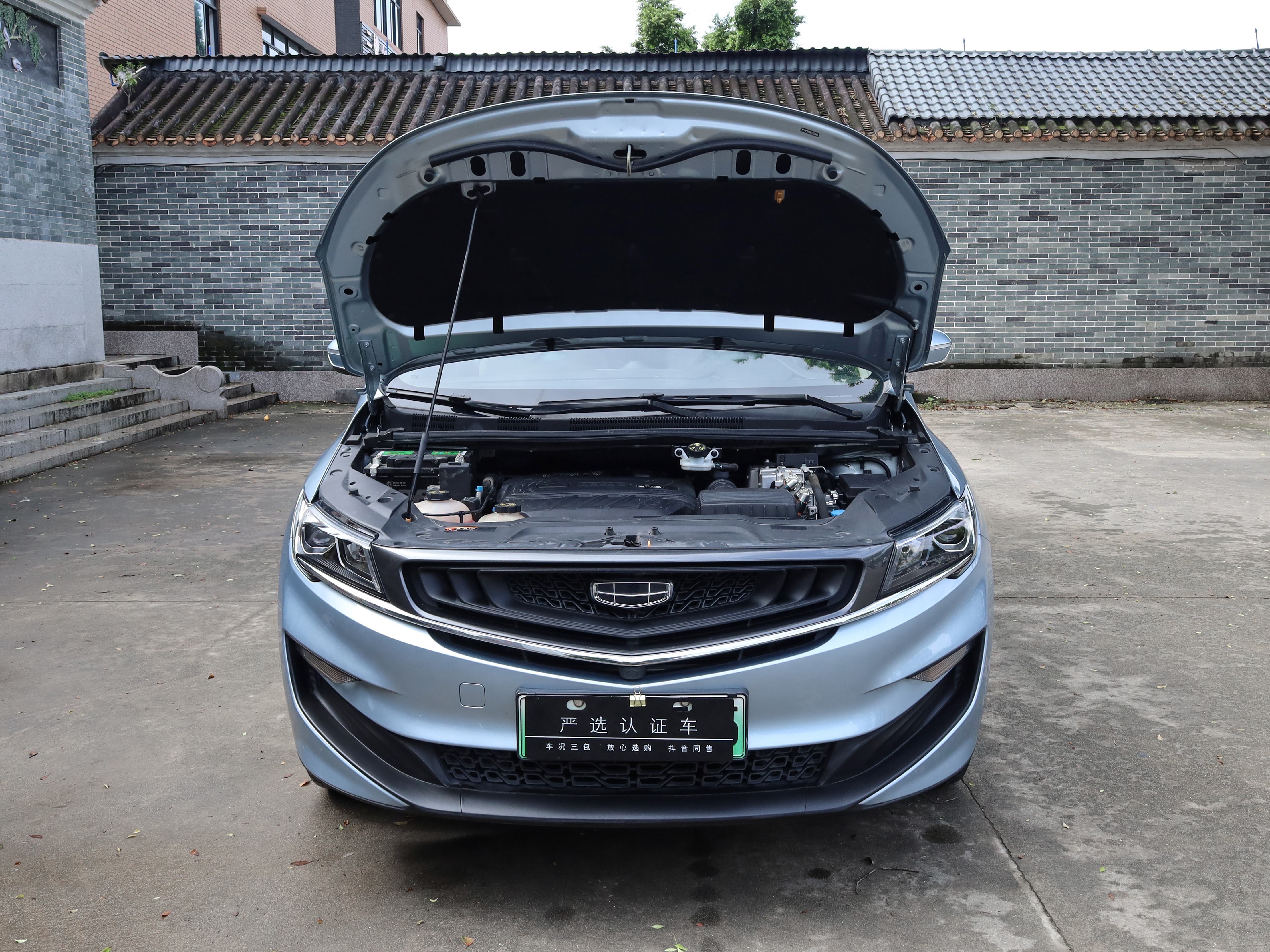 GEELY JiaJi New Energy 2021 #17 GEELY JiaJi New Energy 2021 immagine di auto #17