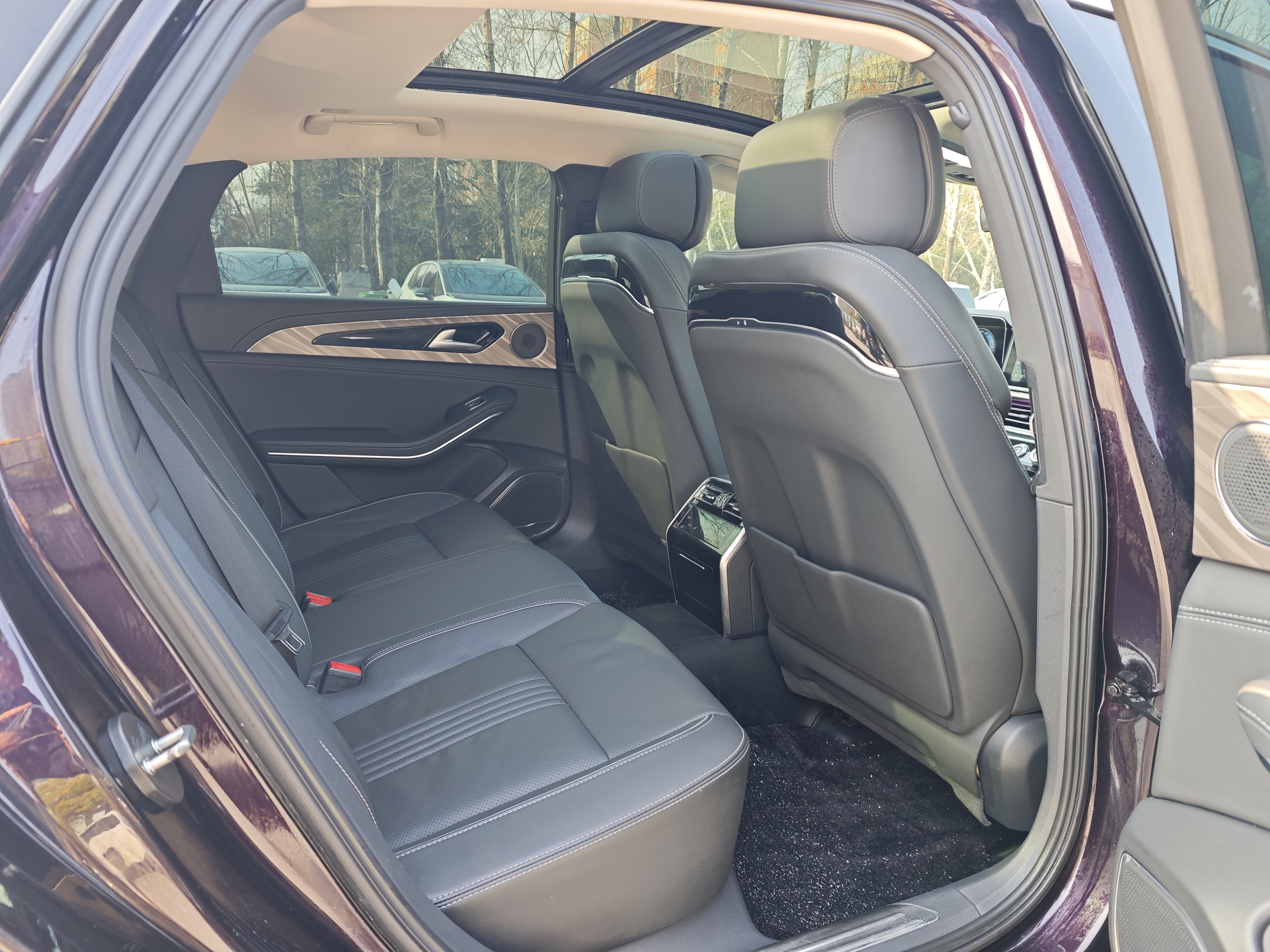 HongQi H9 2021 car image #17