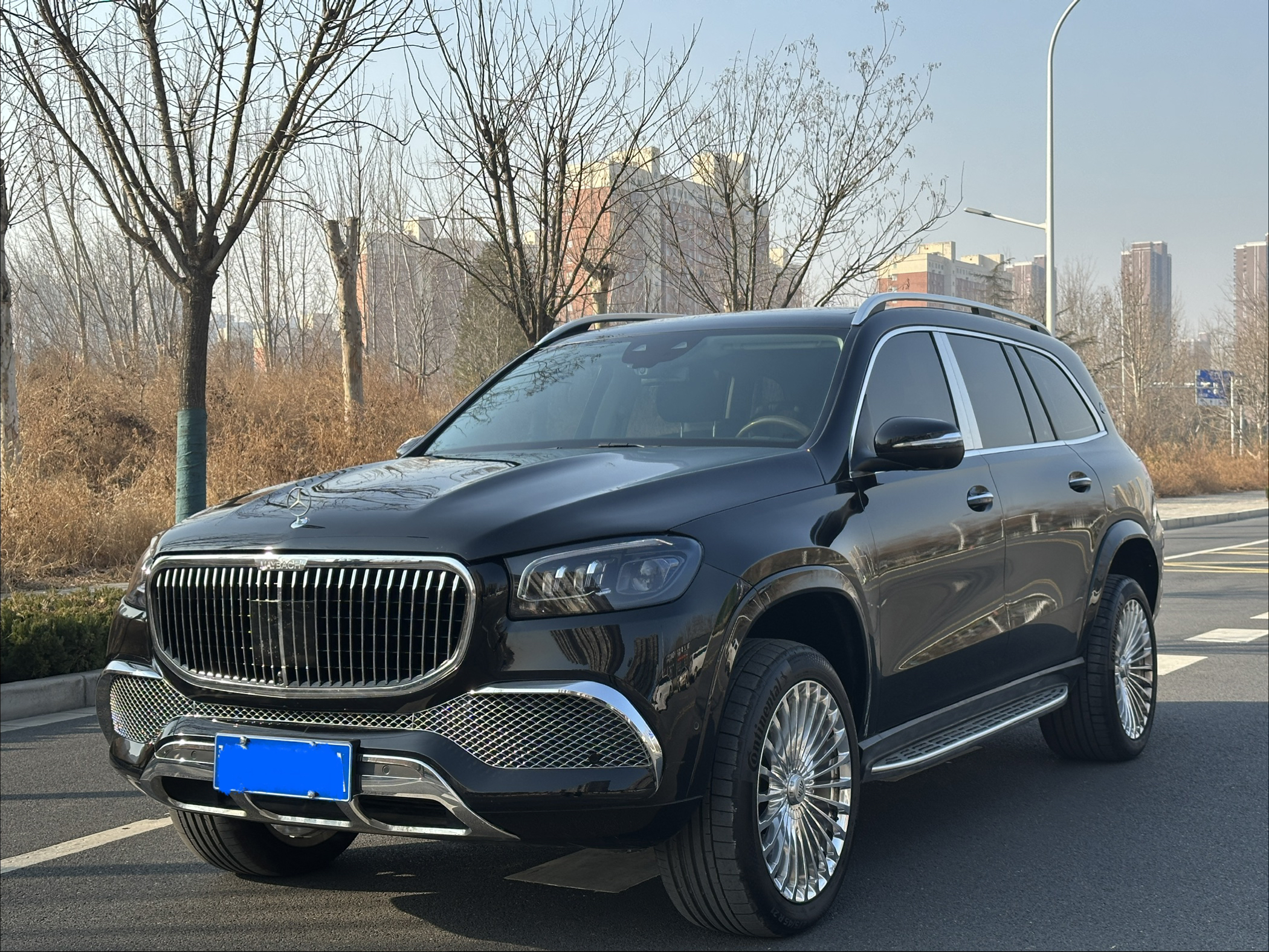 Mercedes-Benz GLS Class 2021 car image #17