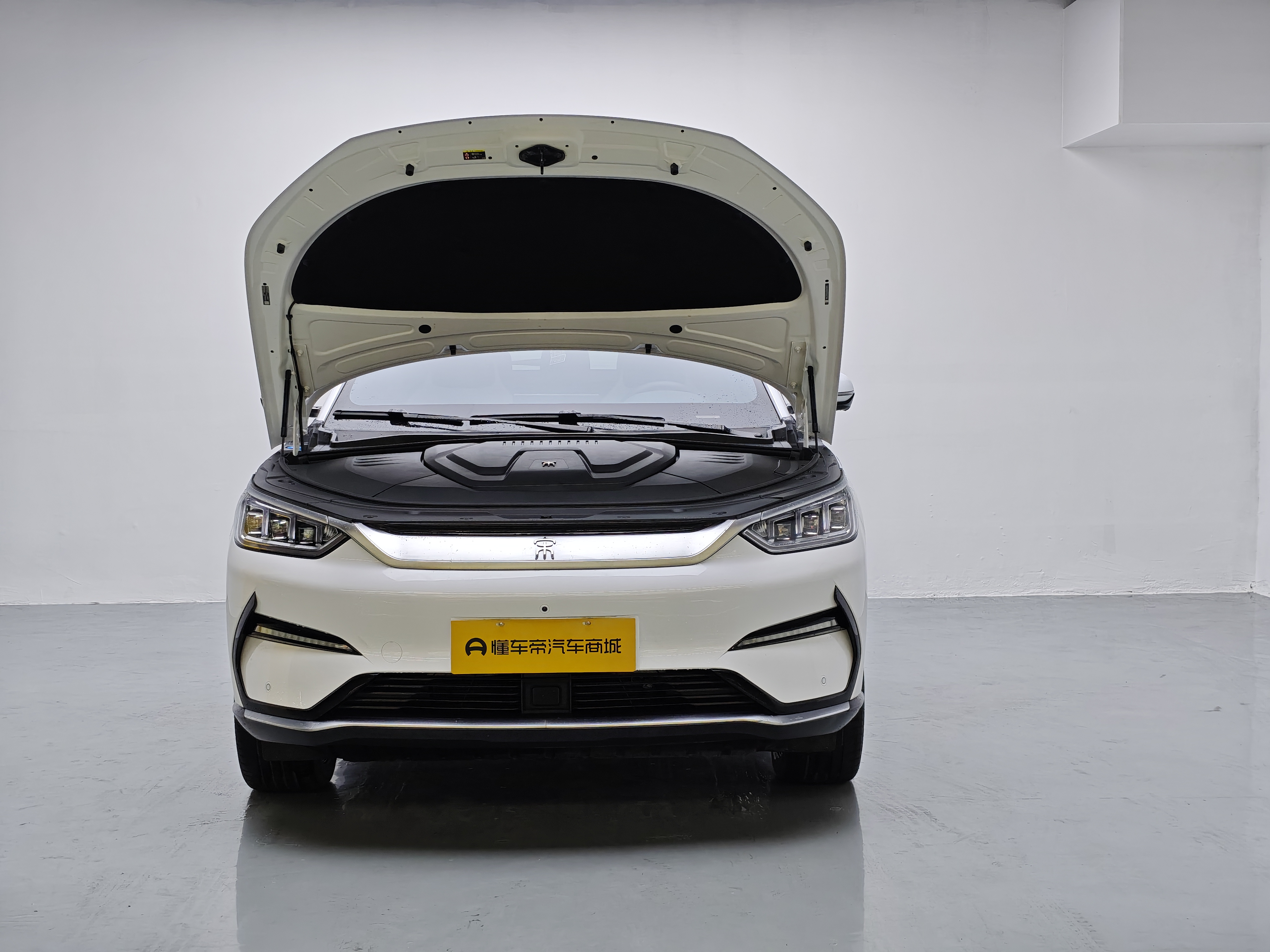 BYD Song Plus New Energy 2023 car image #17