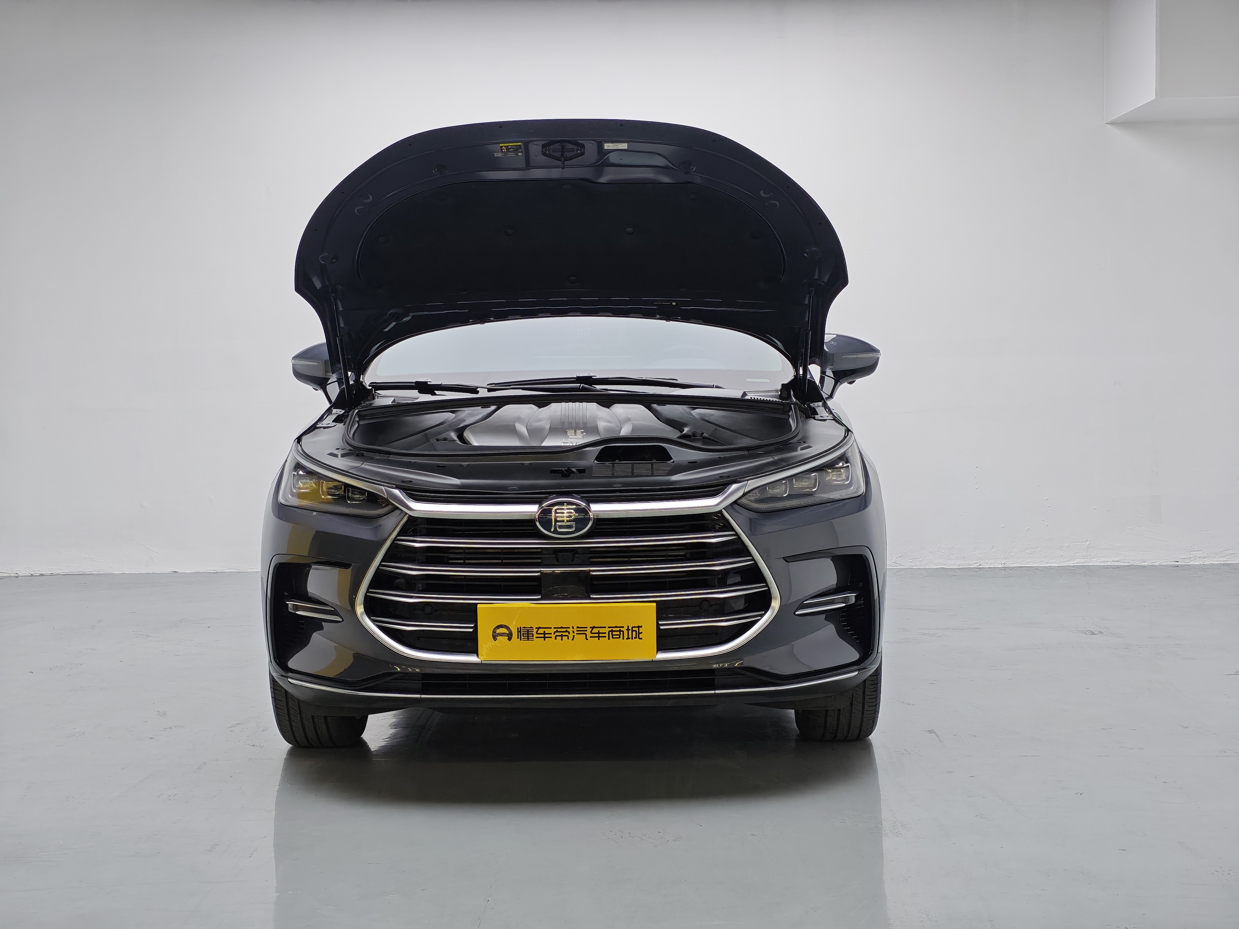 BYD Tang New Energy 2022 #17 BYD Tang New Energy 2022 car image #17