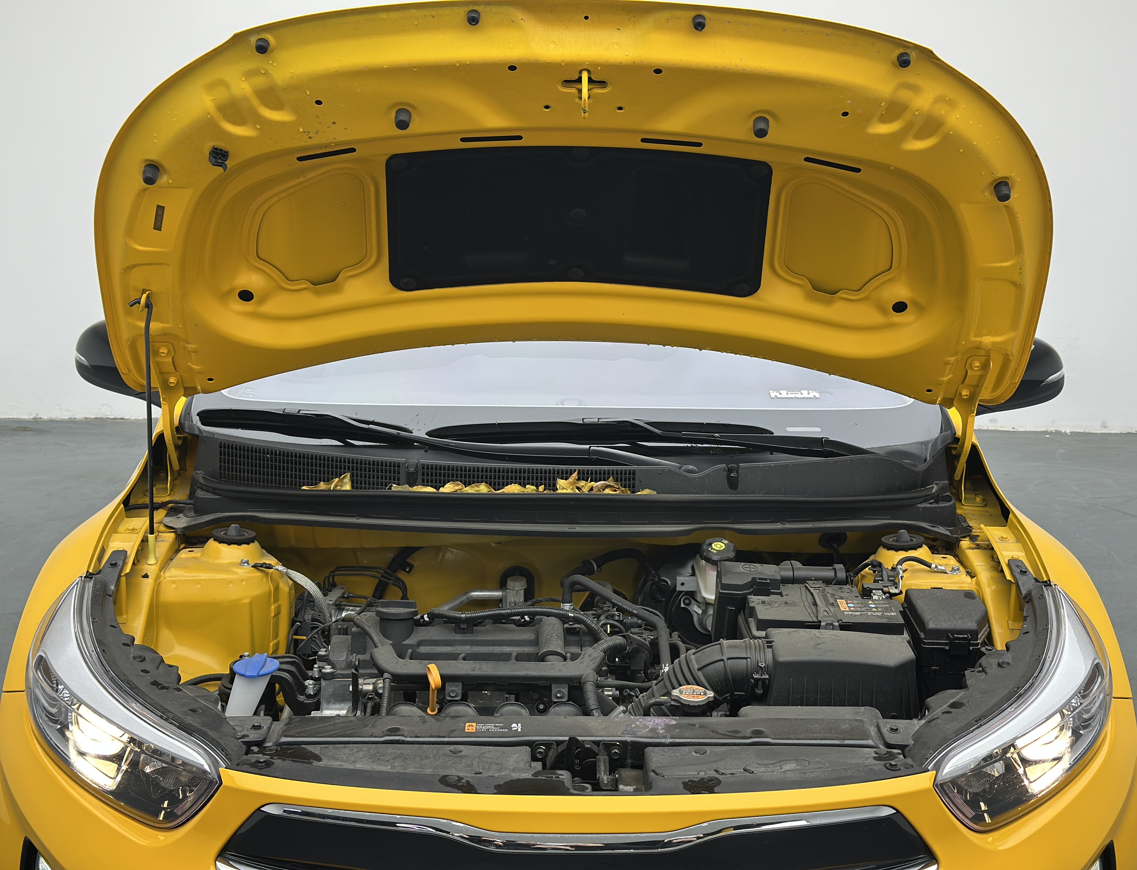 Kia KX1 2025 car image #17