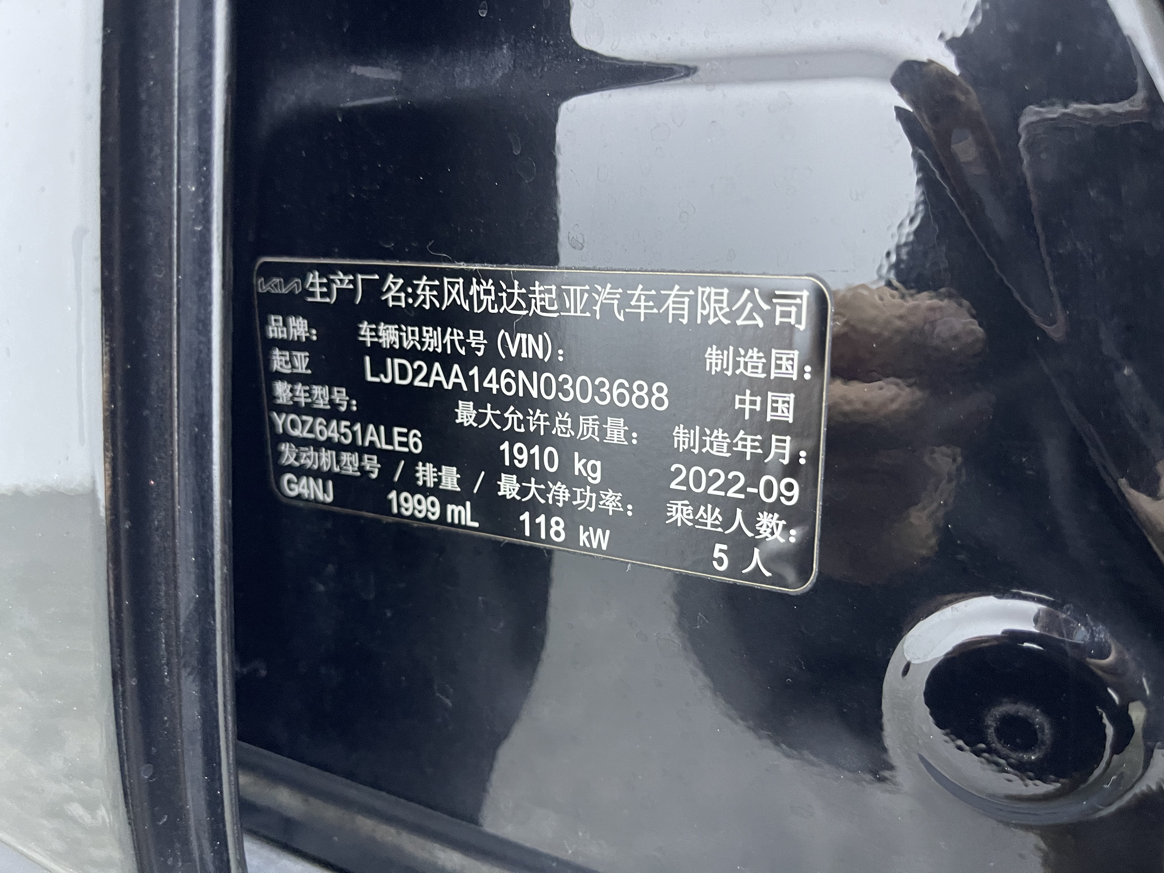 Kia Sportage R 2022 car image #17