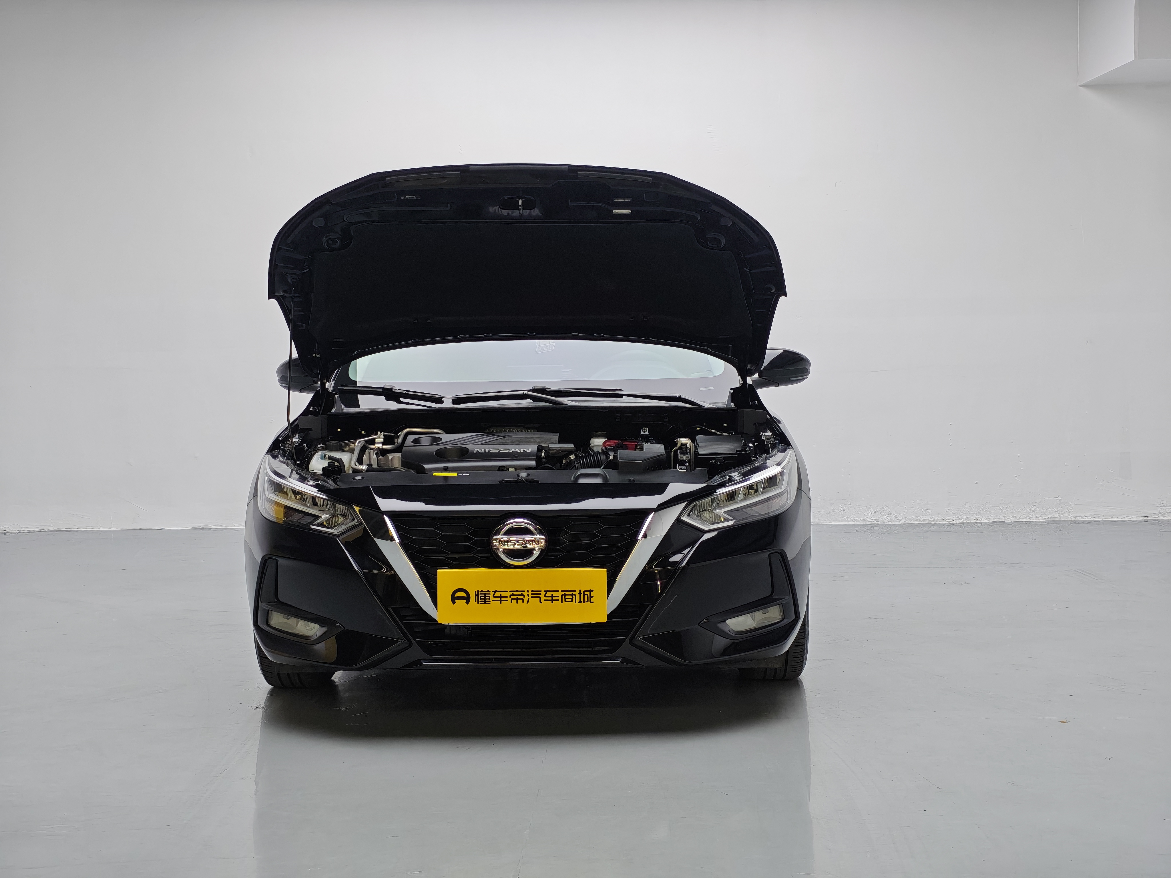 Nissan Sylphy 2023 car image #17