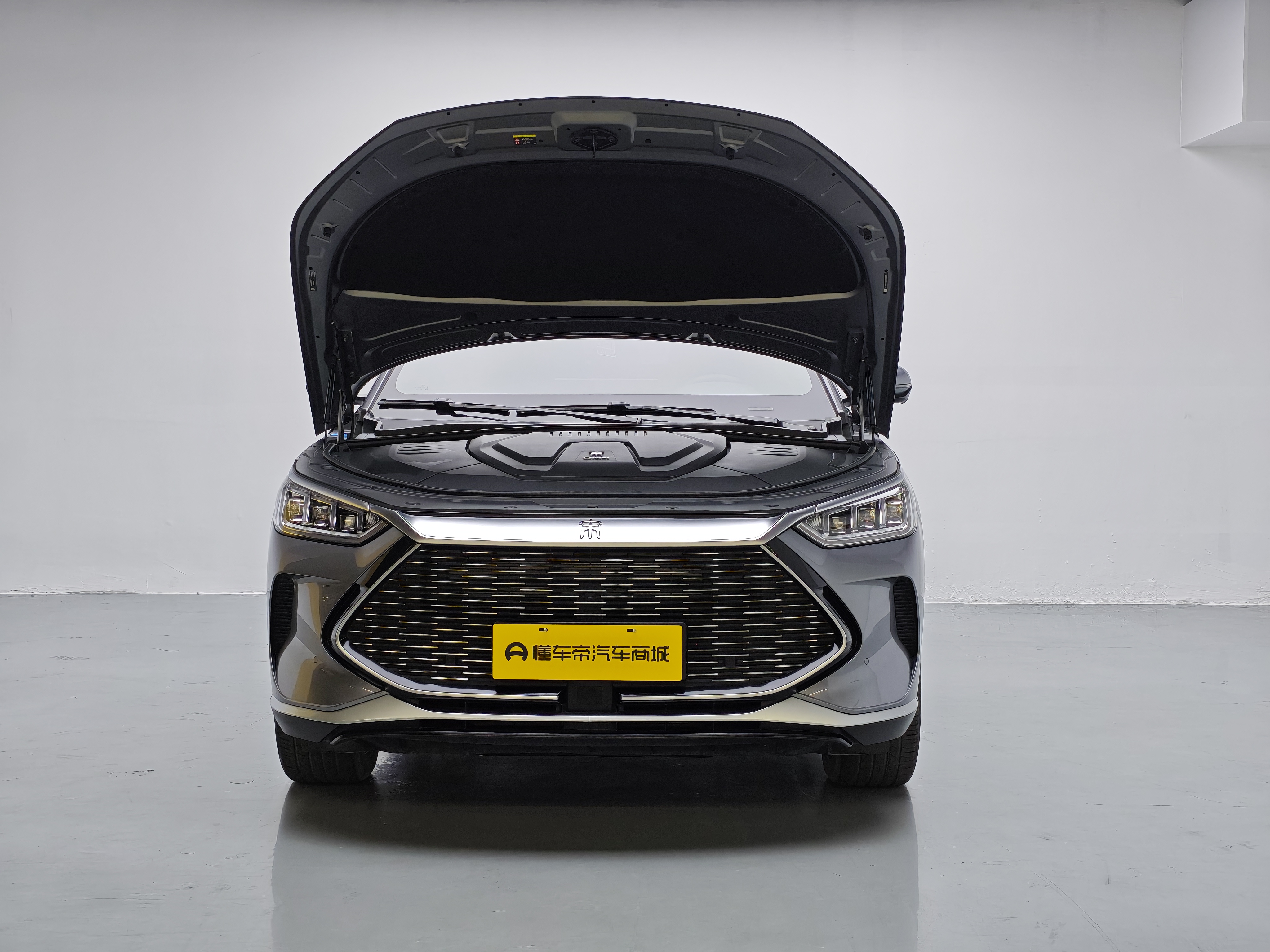 BYD Song Plus New Energy 2022 immagine di auto #17