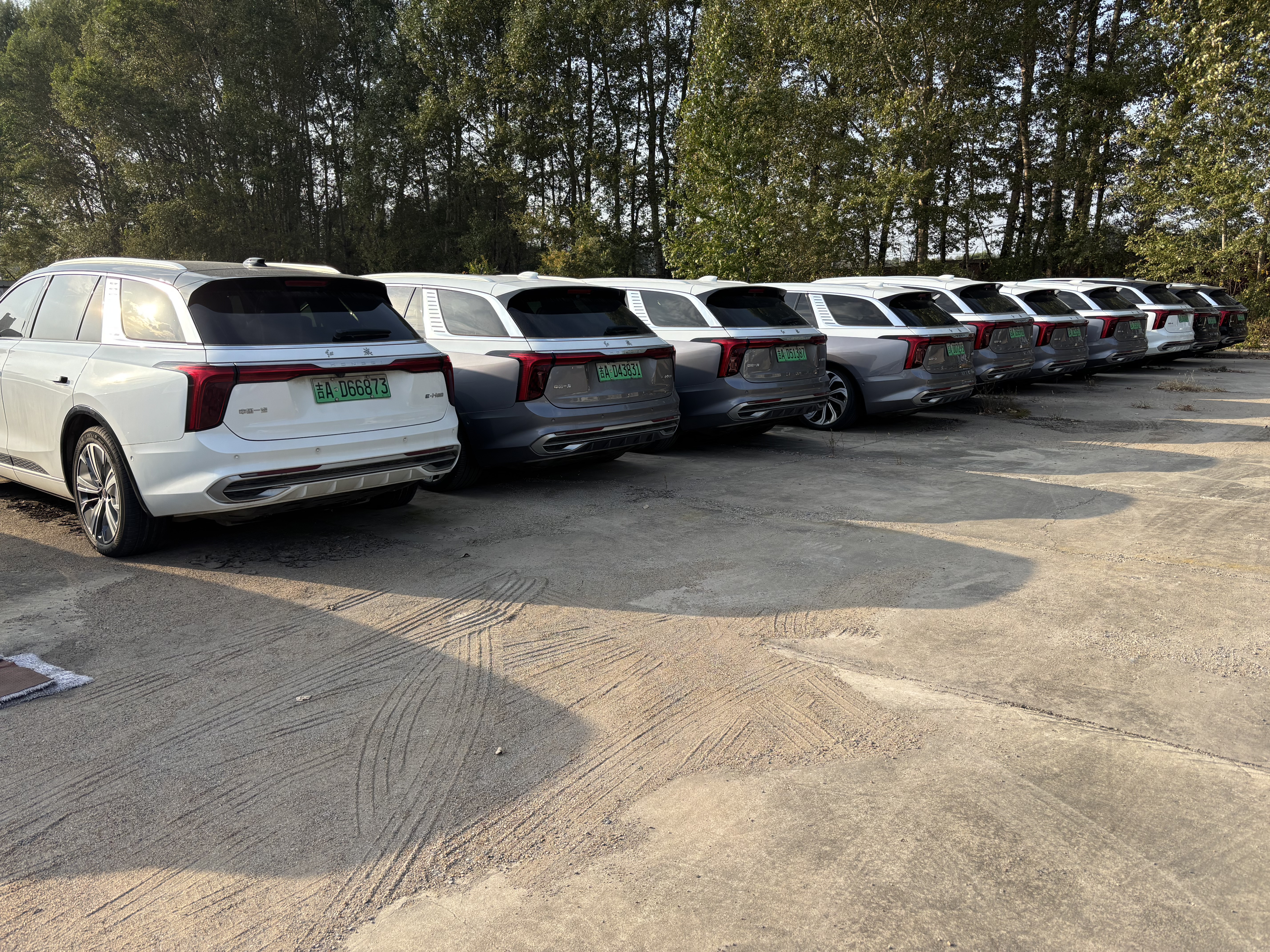 HongQi E-HS9 2023 #17 HongQi E-HS9 2023 car image #17