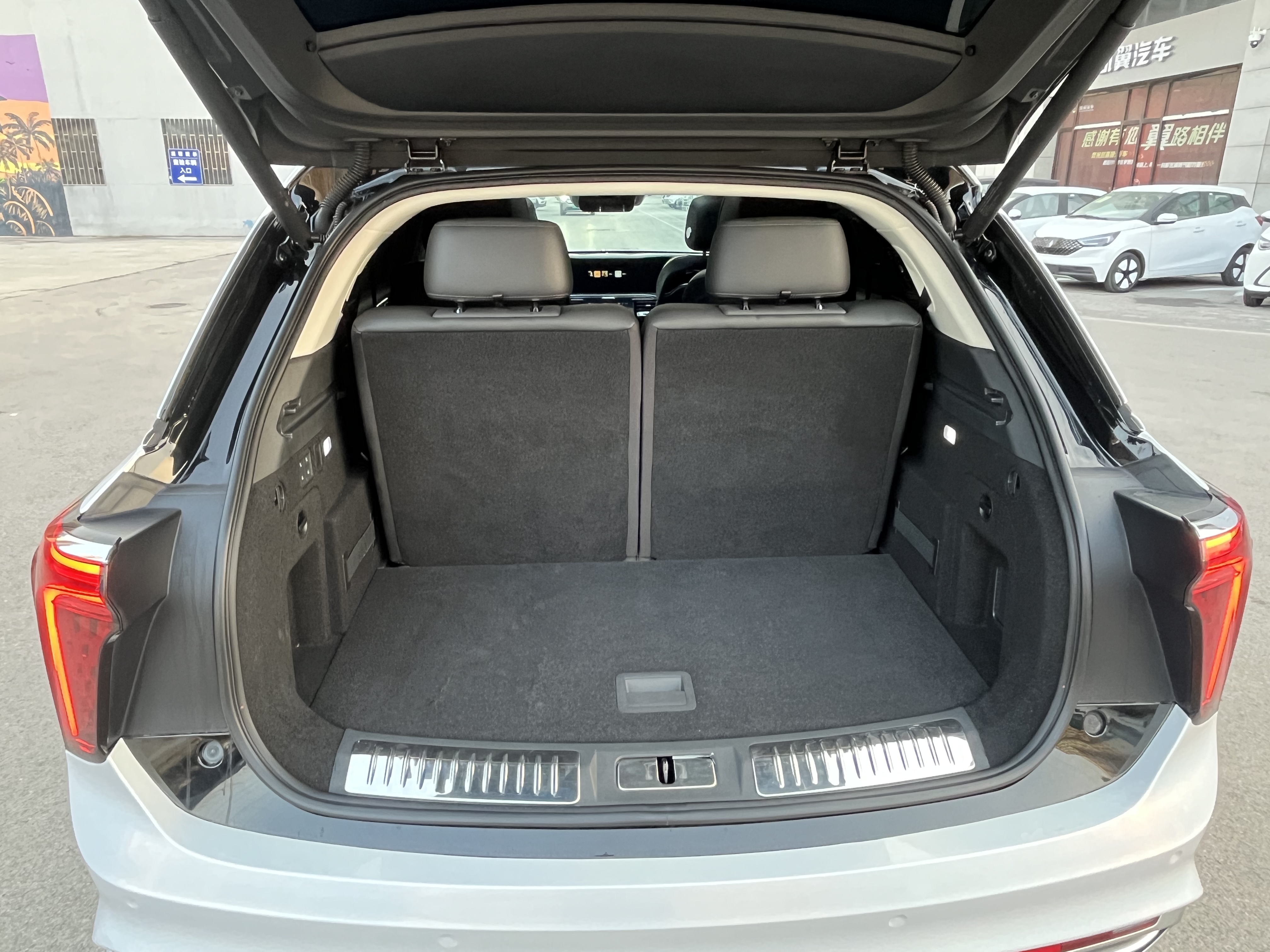 HongQi E-HS9 2023 car image #17