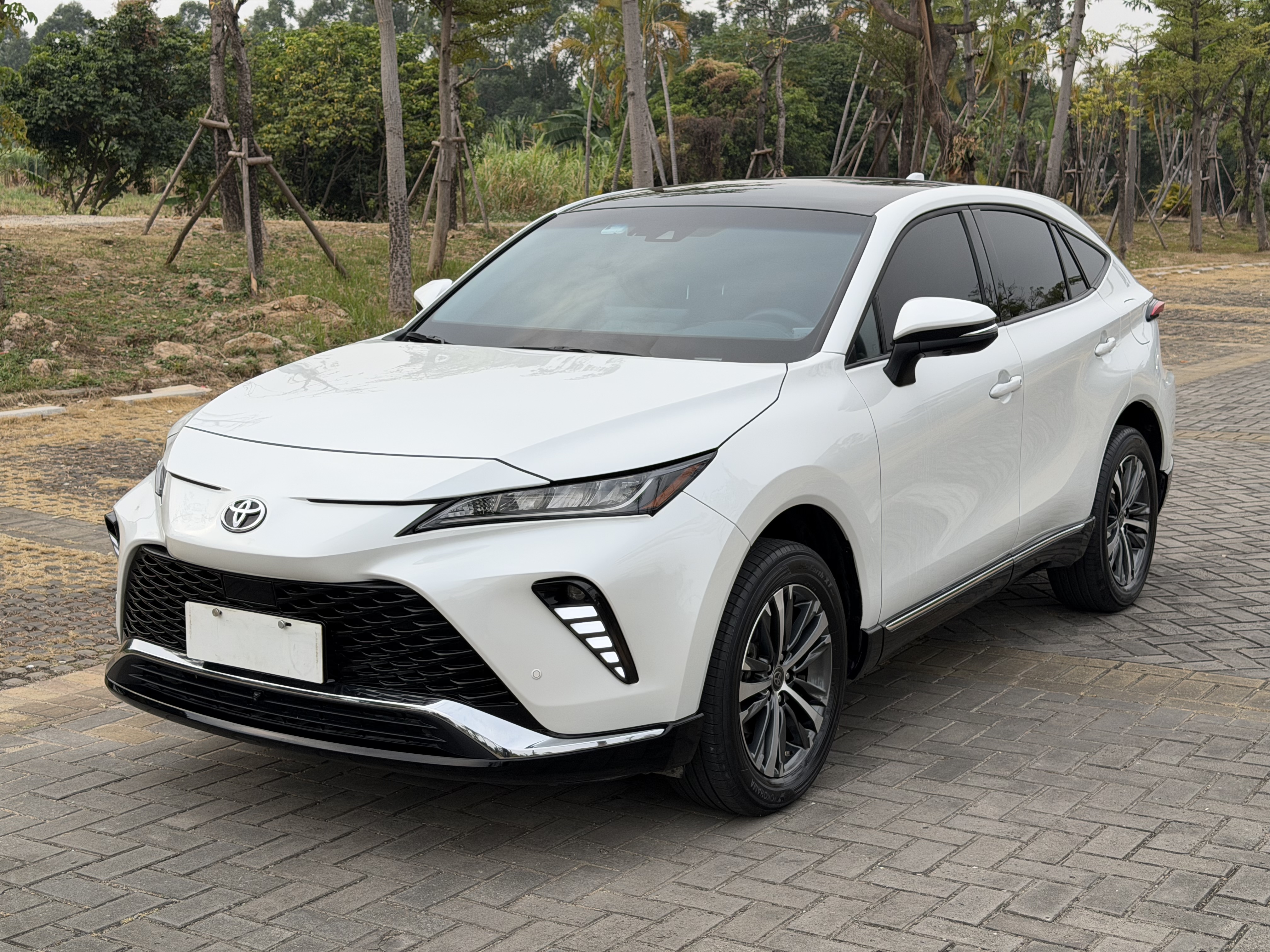 Toyota Venza 2023 immagine di auto #17