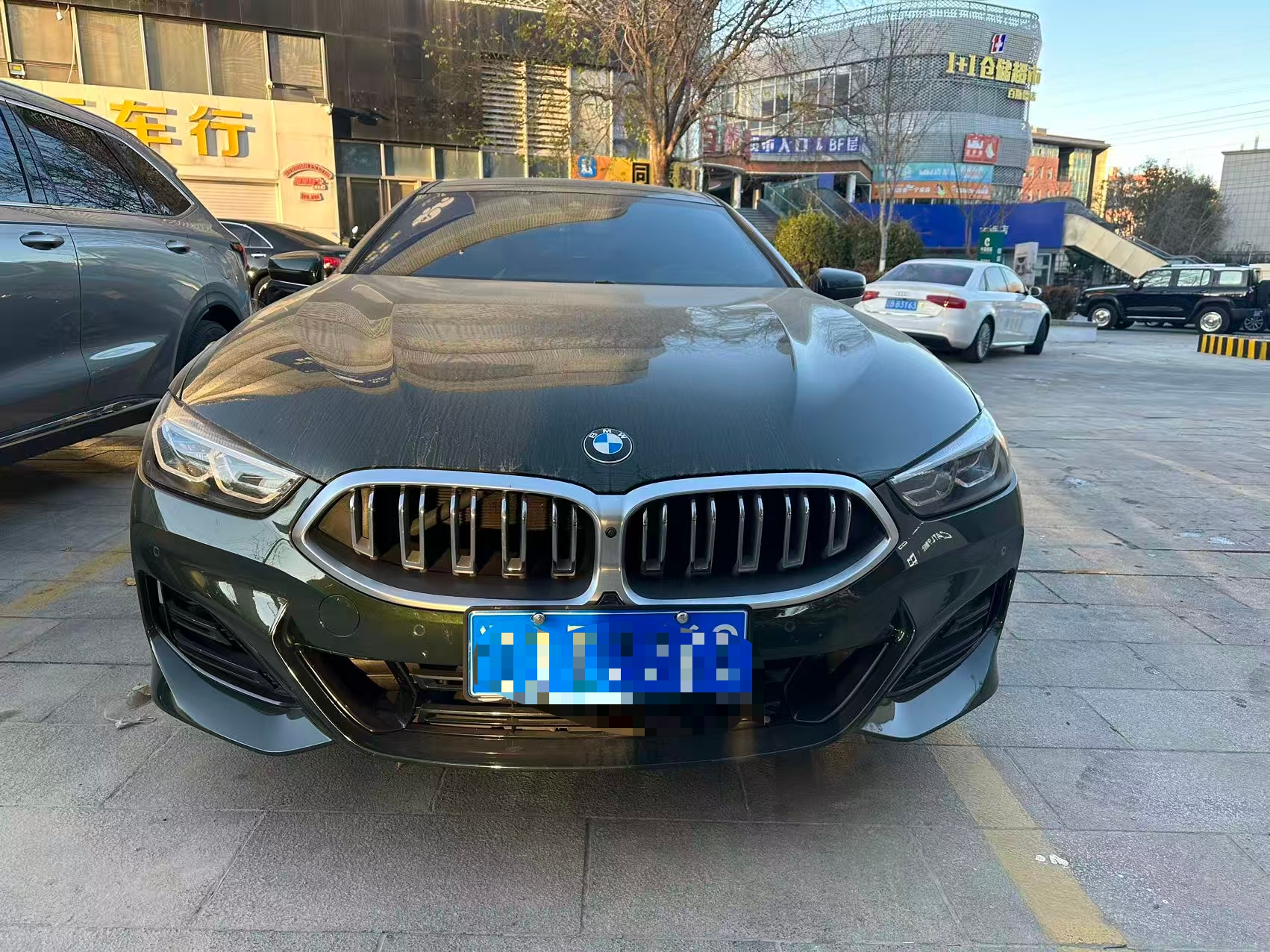 BMW 8 Series 2024 car image #17