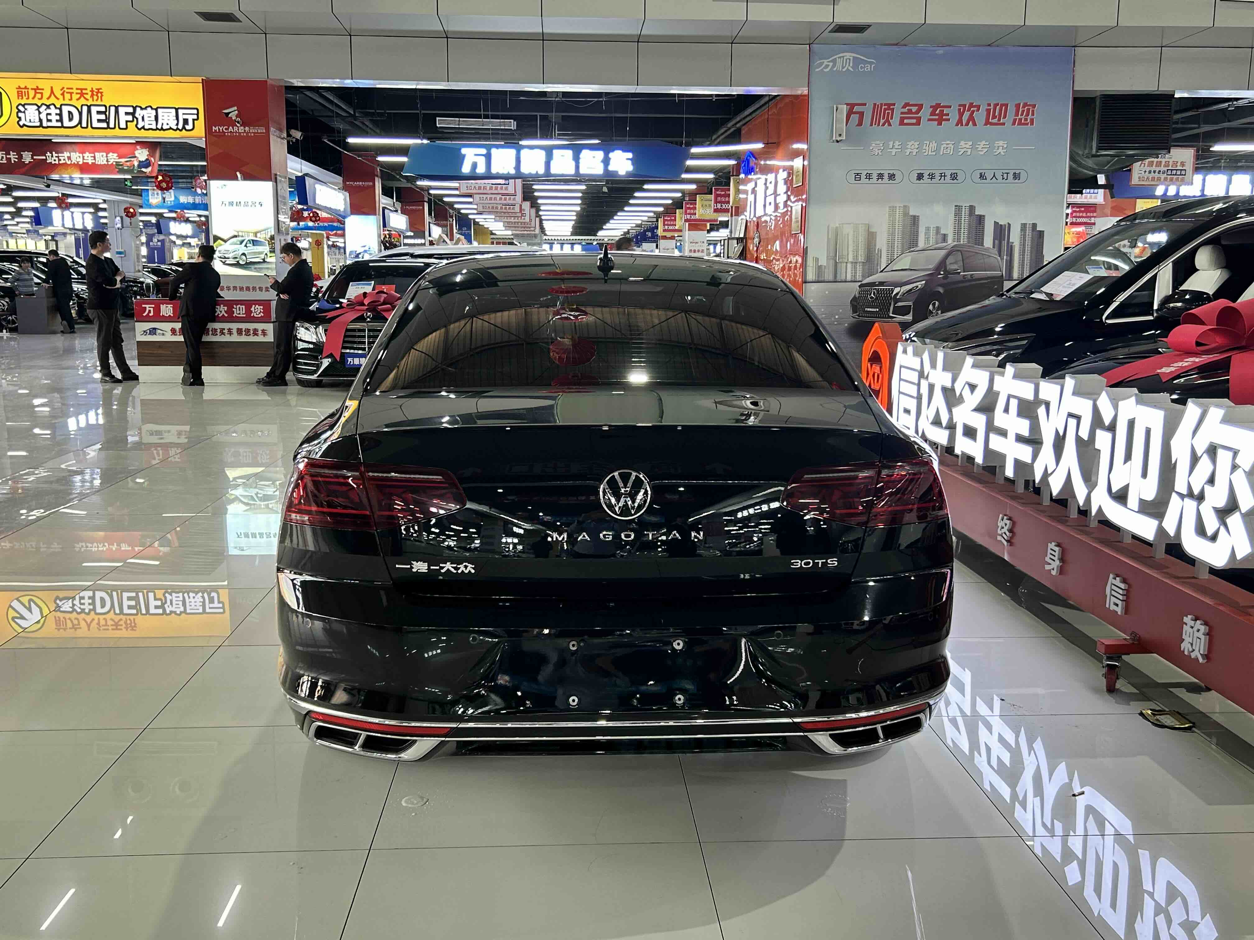 Volkswagen Magotan 2024 car image #17