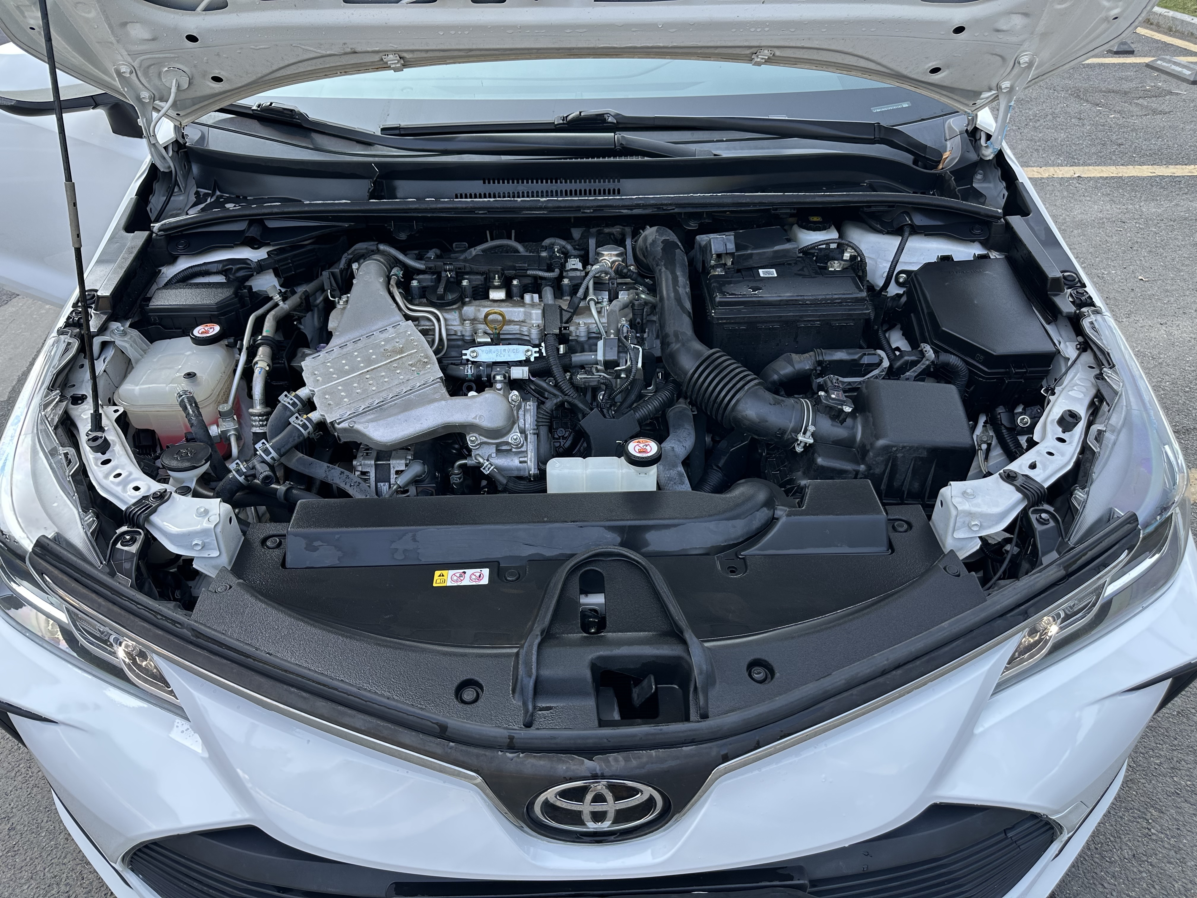 Toyota Corolla 2023 #17 Toyota Corolla 2023 car image #17