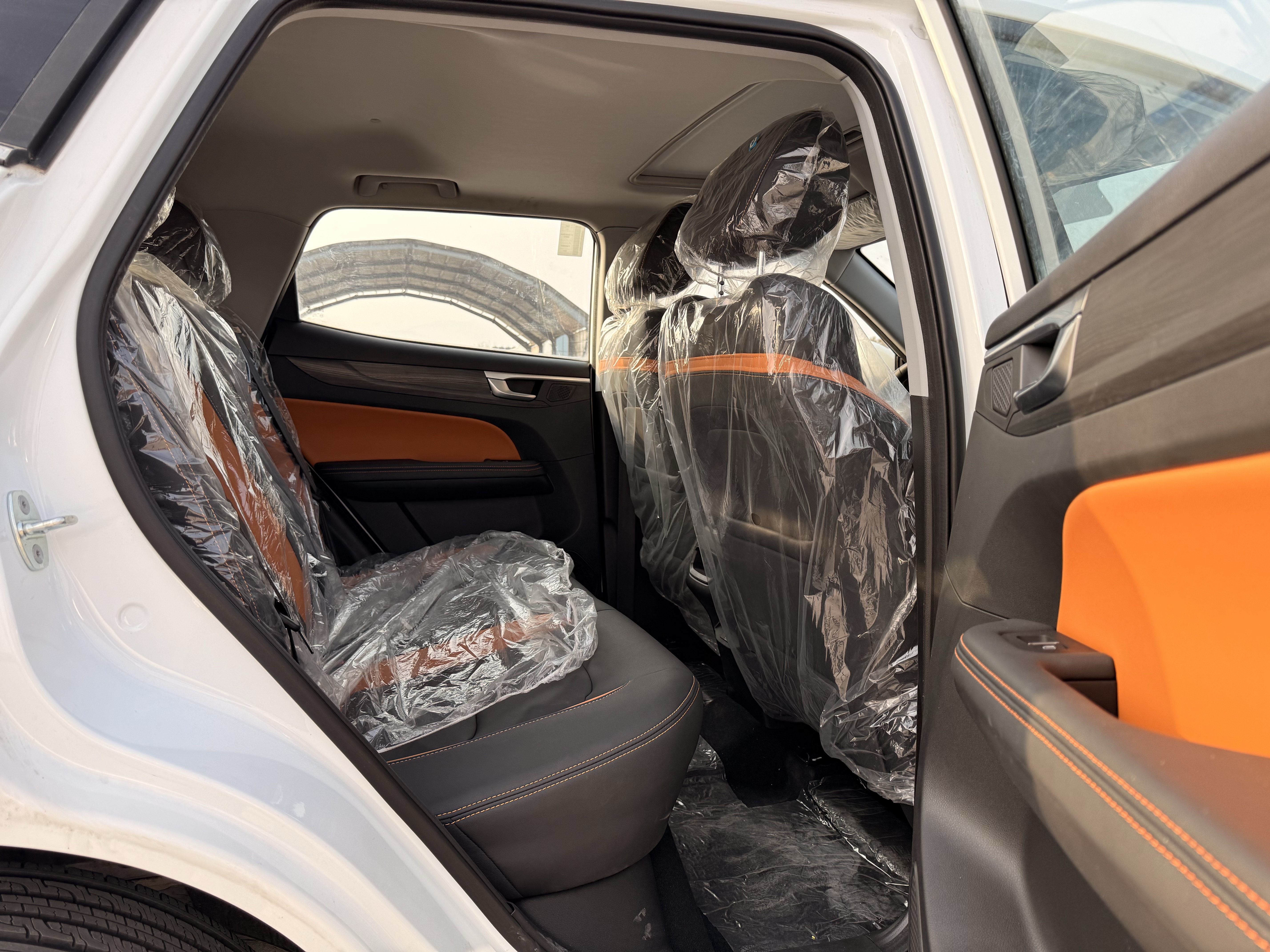Showjet Pro 2025 immagine di auto #17