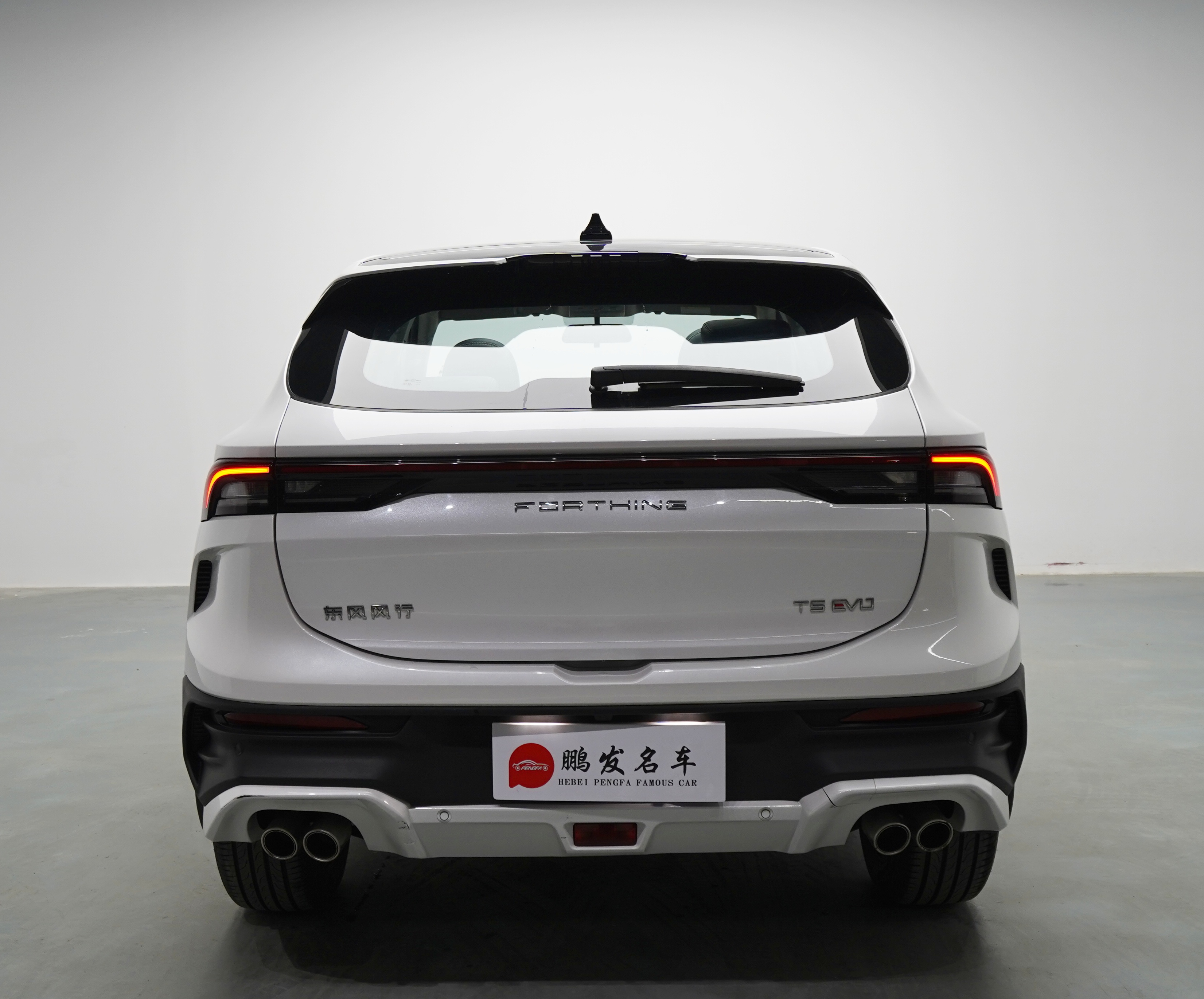 T5 EVO 2023 #17 T5 EVO 2023 car image #17