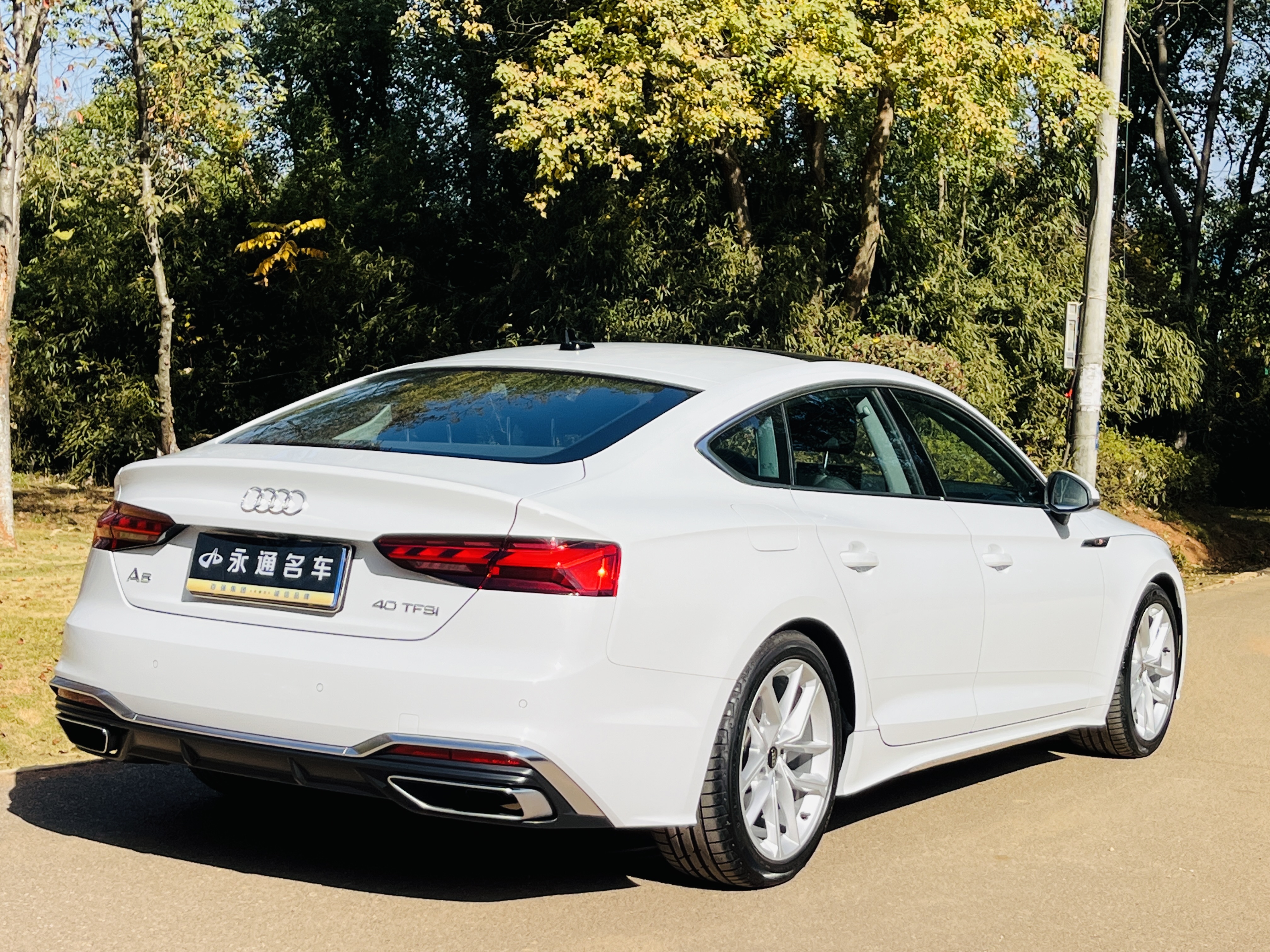 Audi A5 (Imported) 2024 car image #17