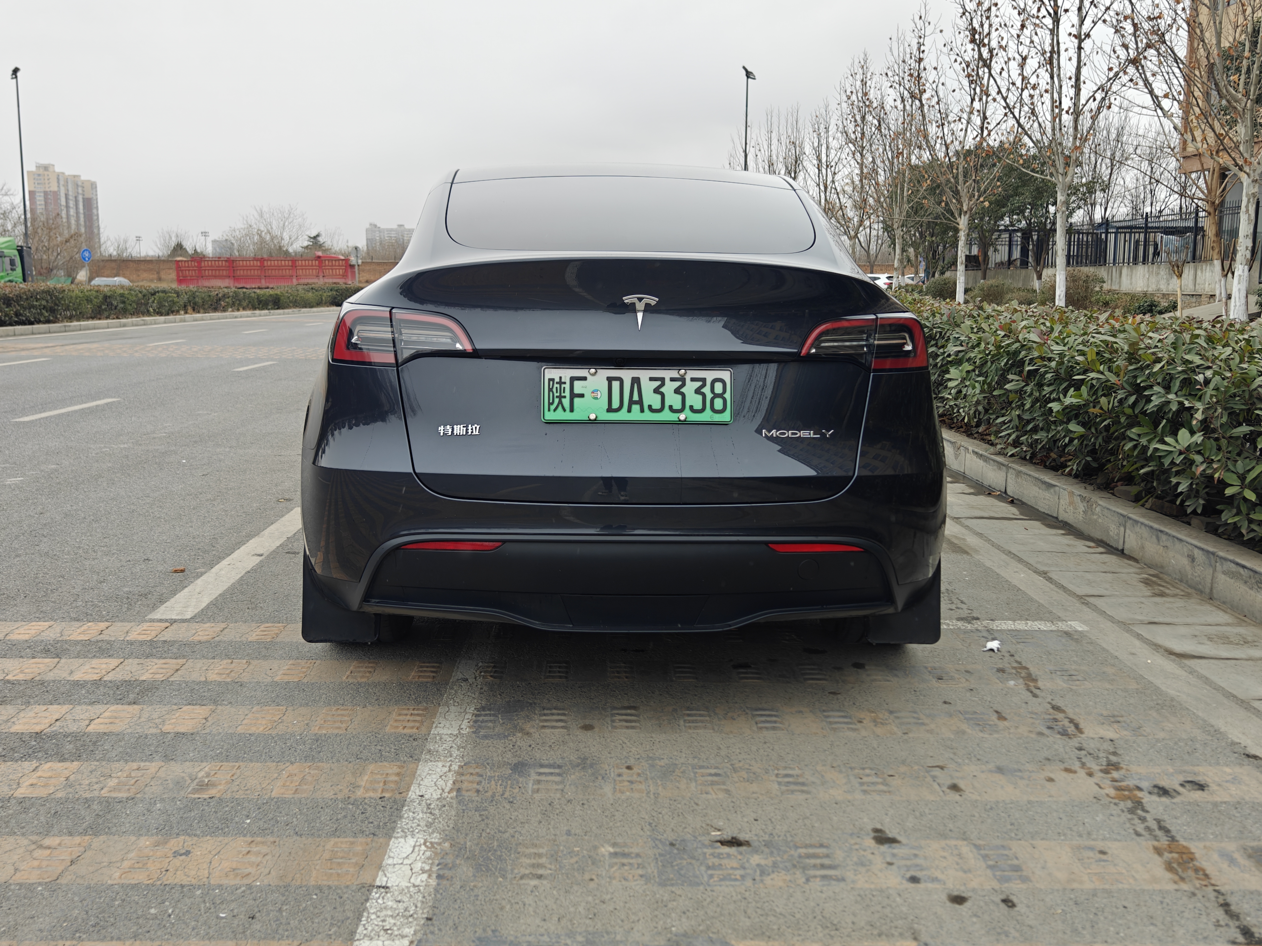 Tesla Model Y 2024 car image #17
