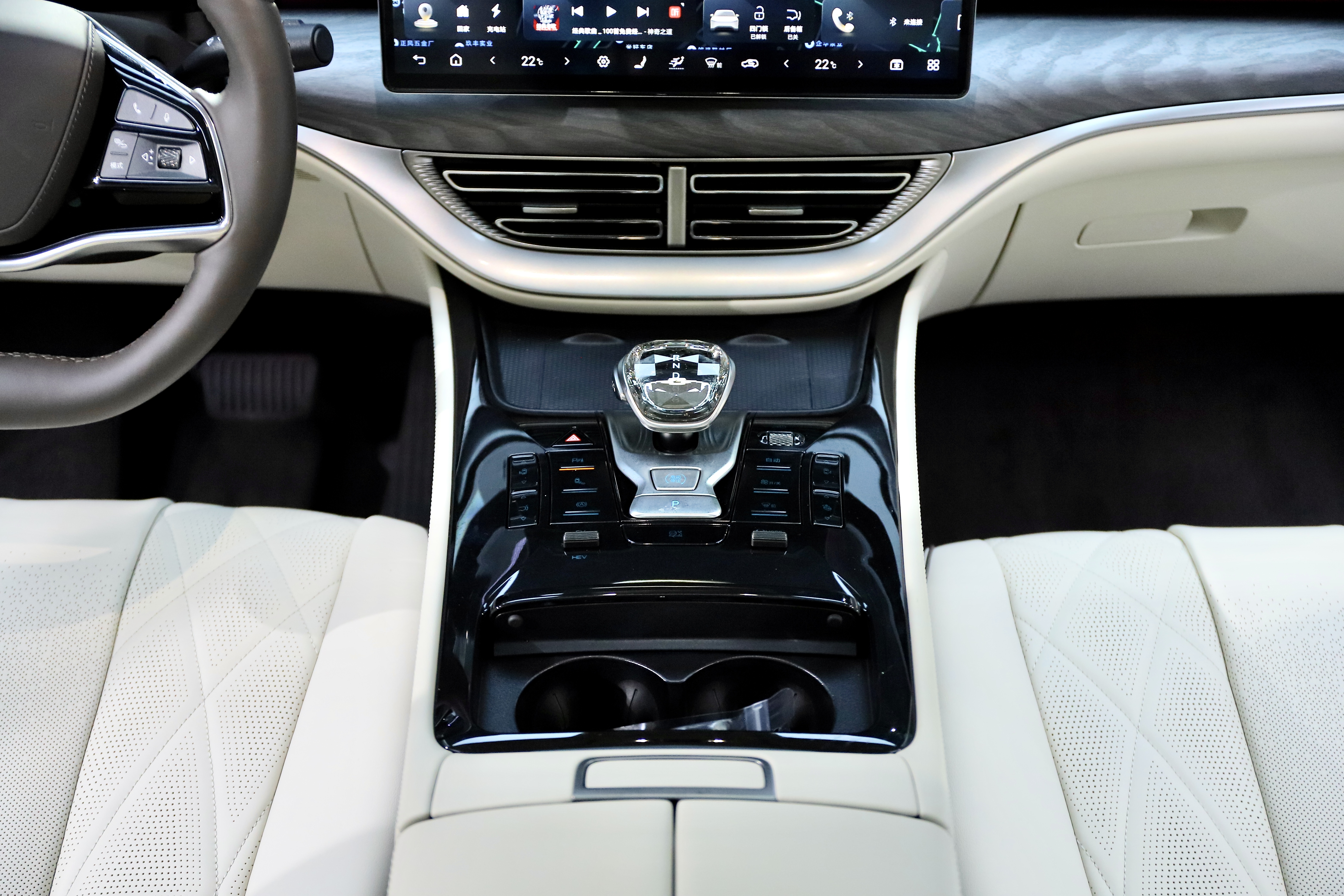 Denza D9 2024 immagine di auto #17