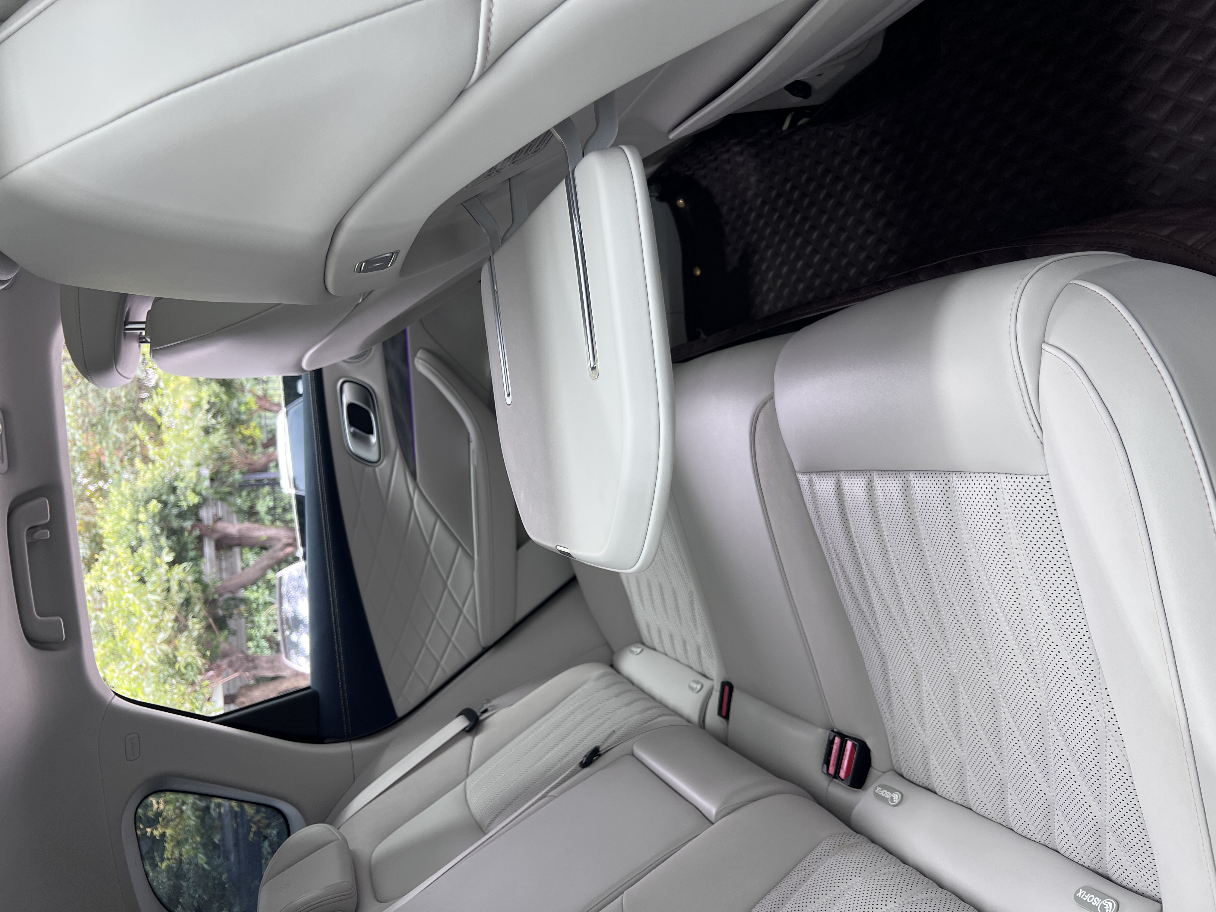 Neta L 2024 imagen de coche #17