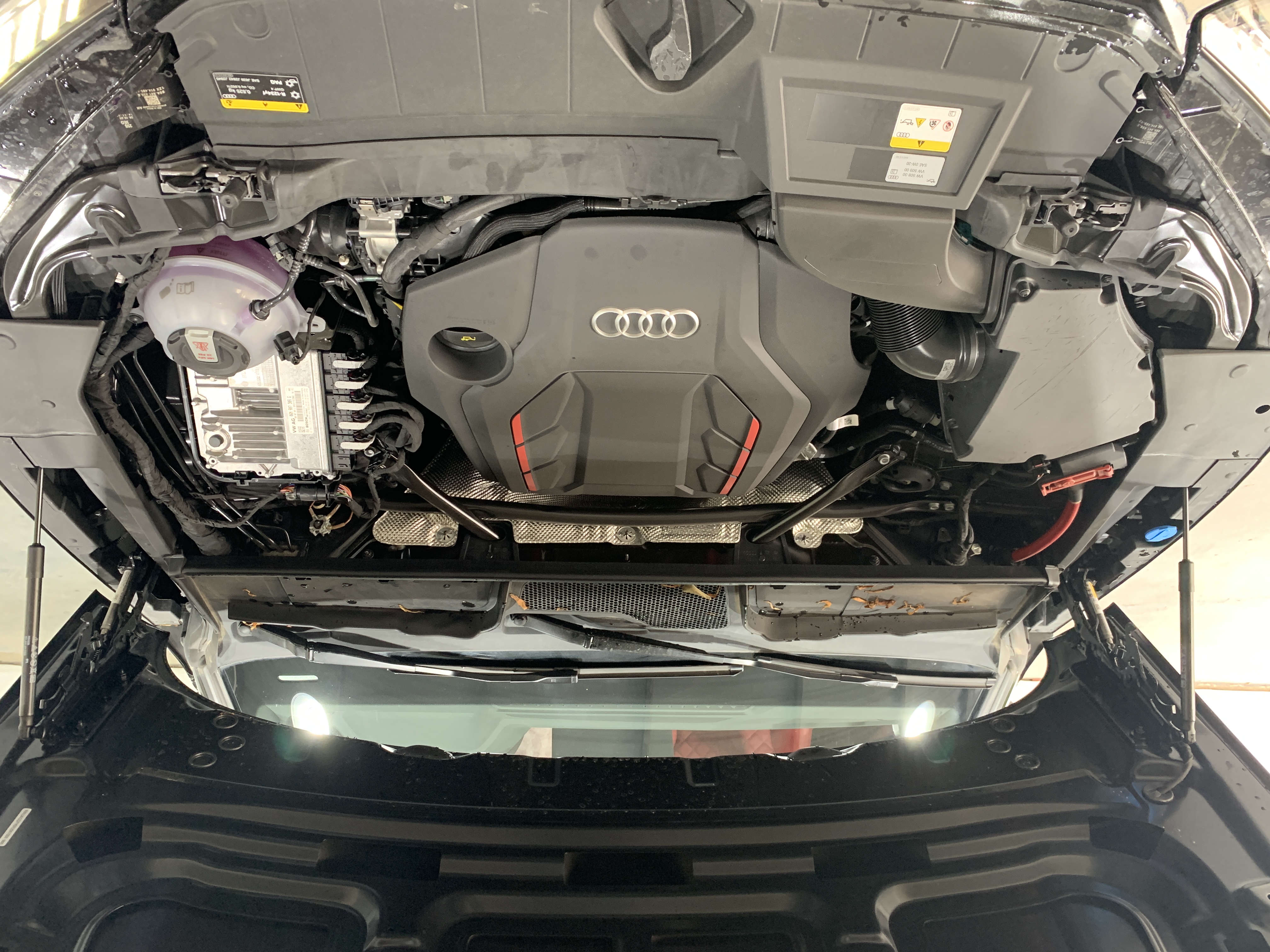 Audi SQ5 2025 immagine di auto #17