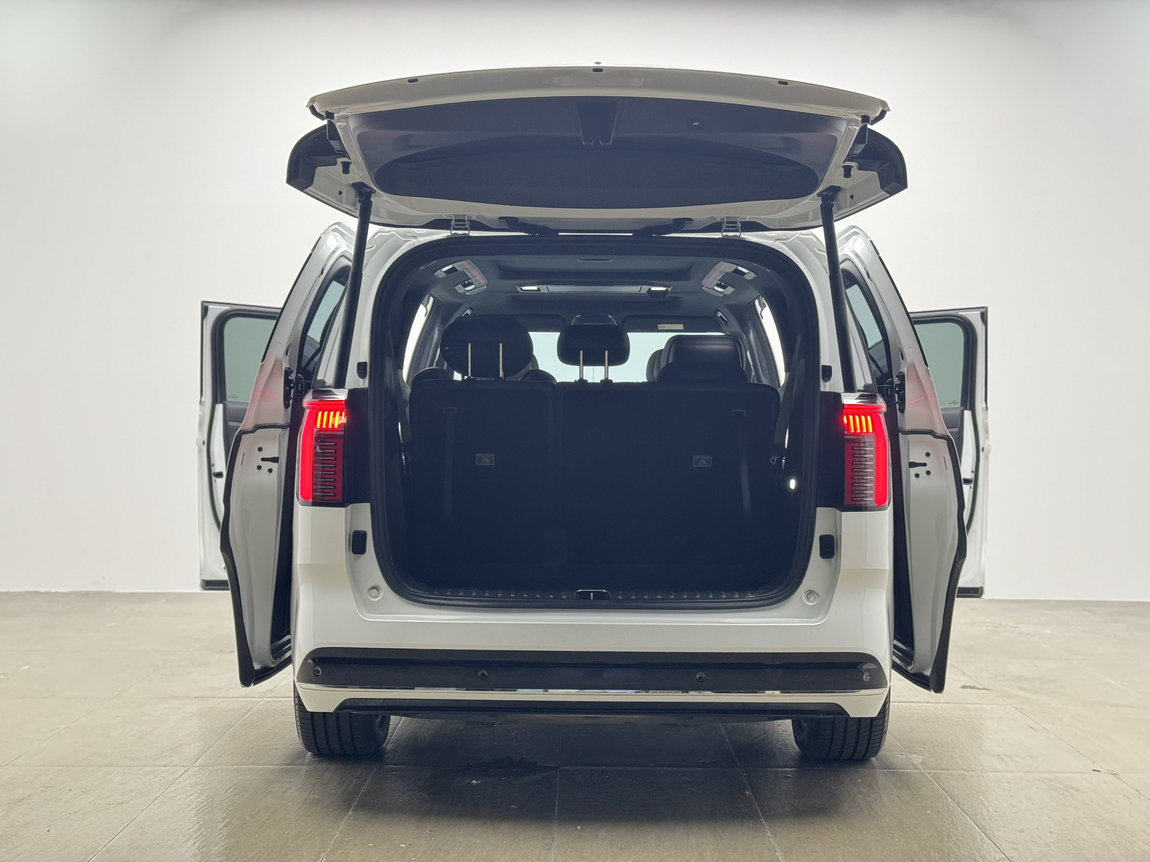 极氪 极氪009 2024 汽车图片 #17