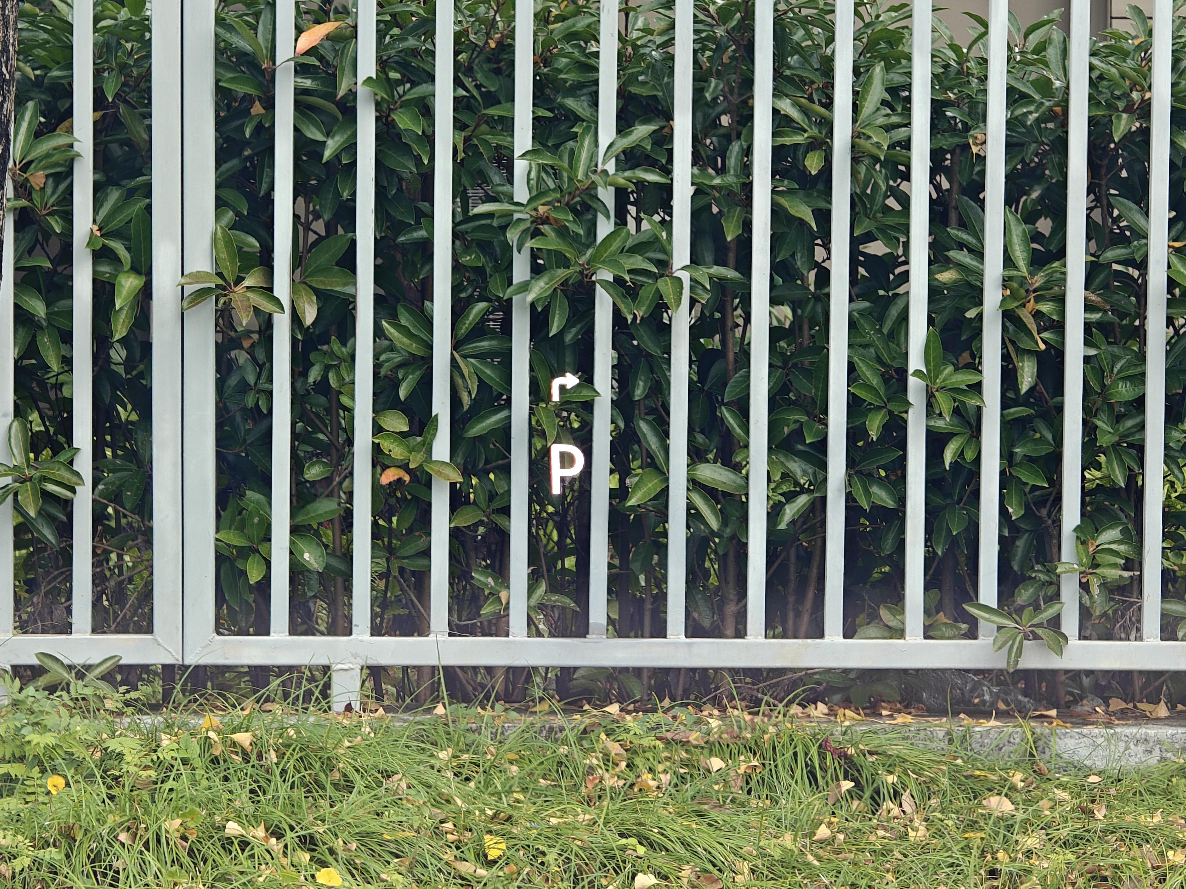 Zeekr X 2024 car image #17