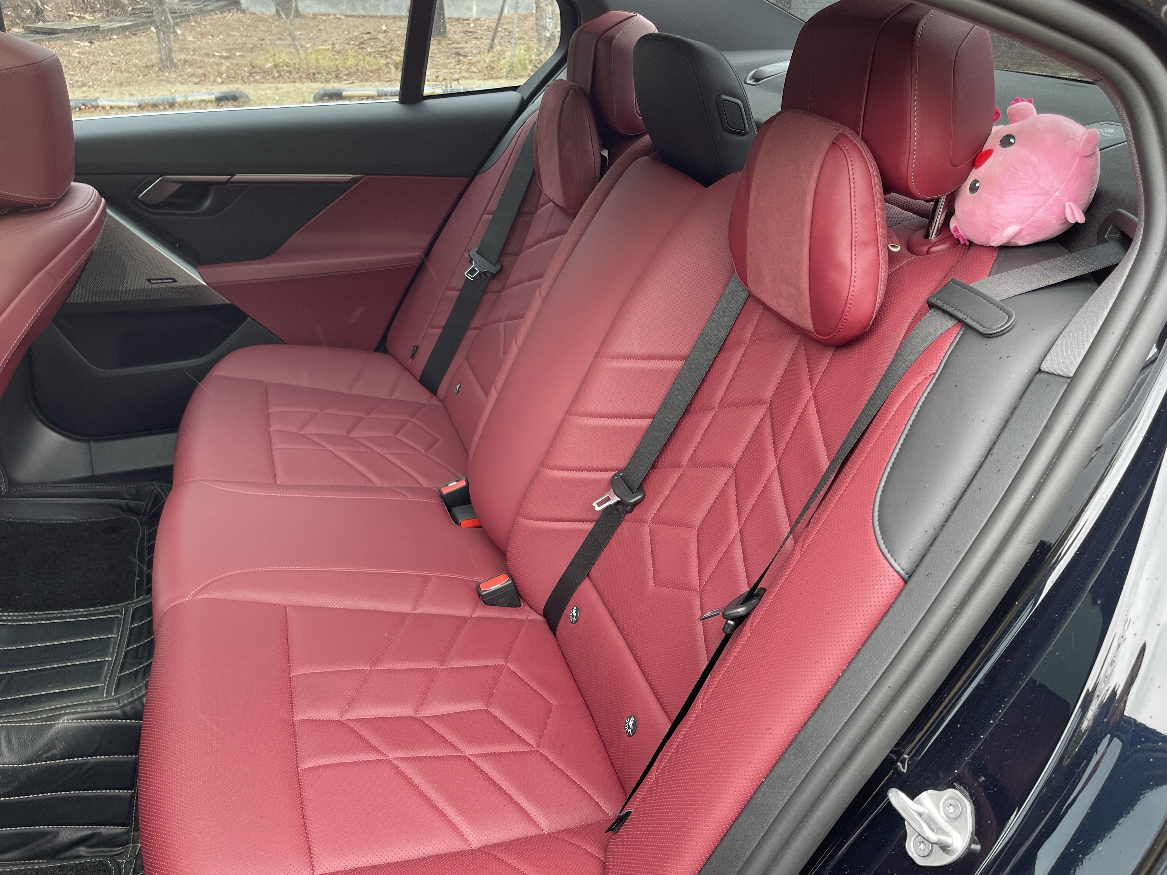 BMW 5 Series 2024 car image #17