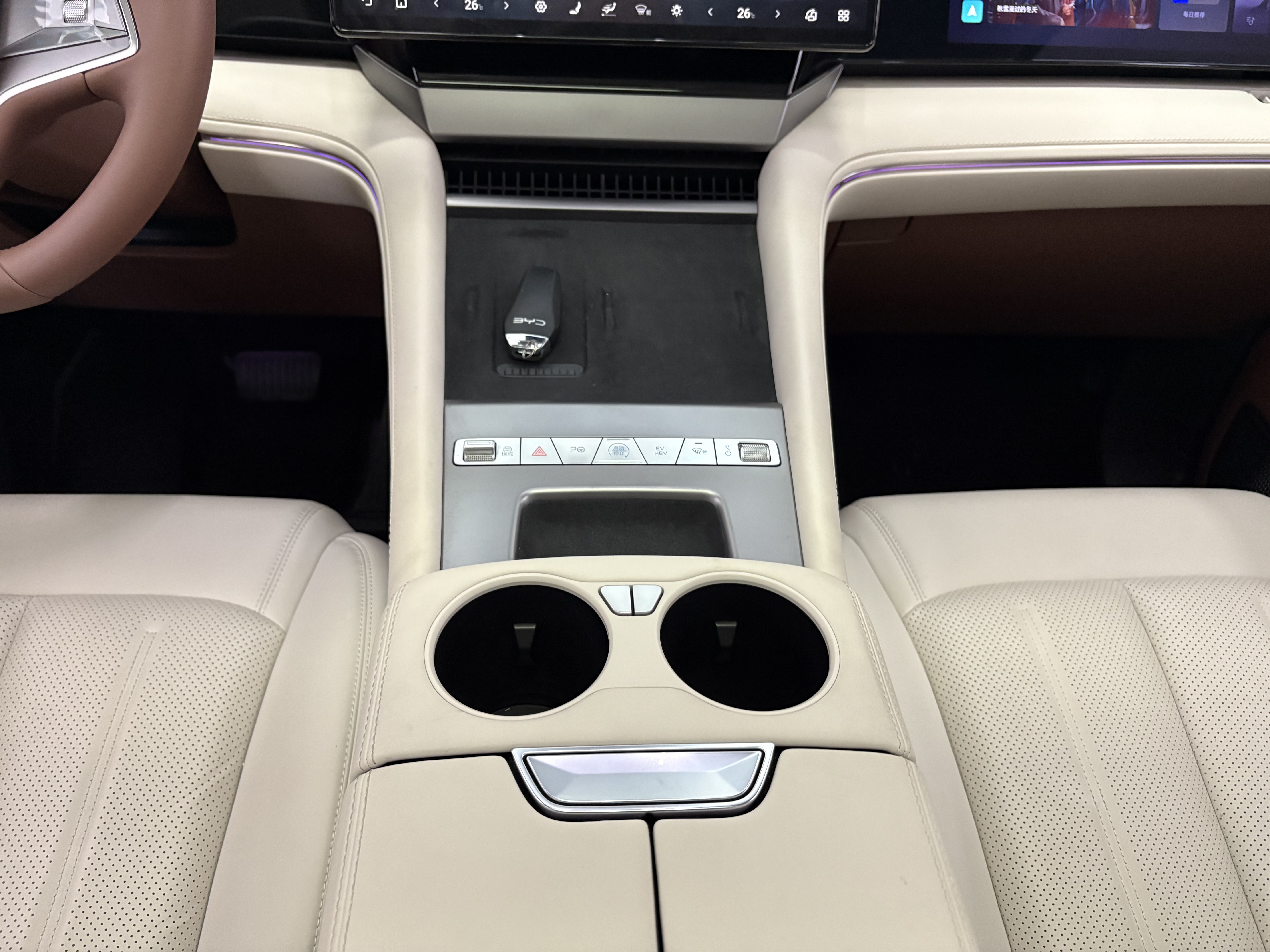 BYD Xia 2025 imagen de coche #17