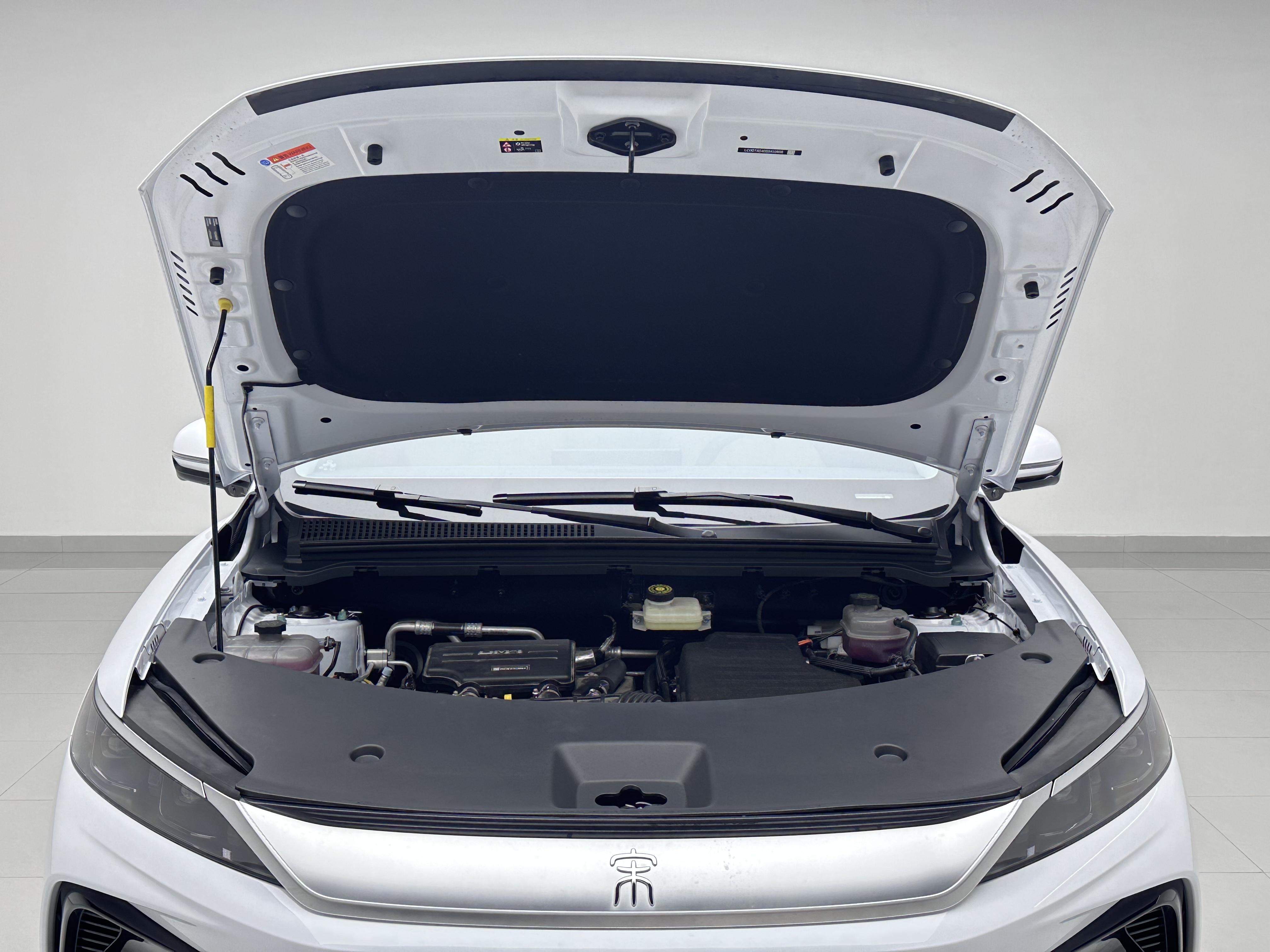 BYD Song Pro New Energy 2025 car image #17