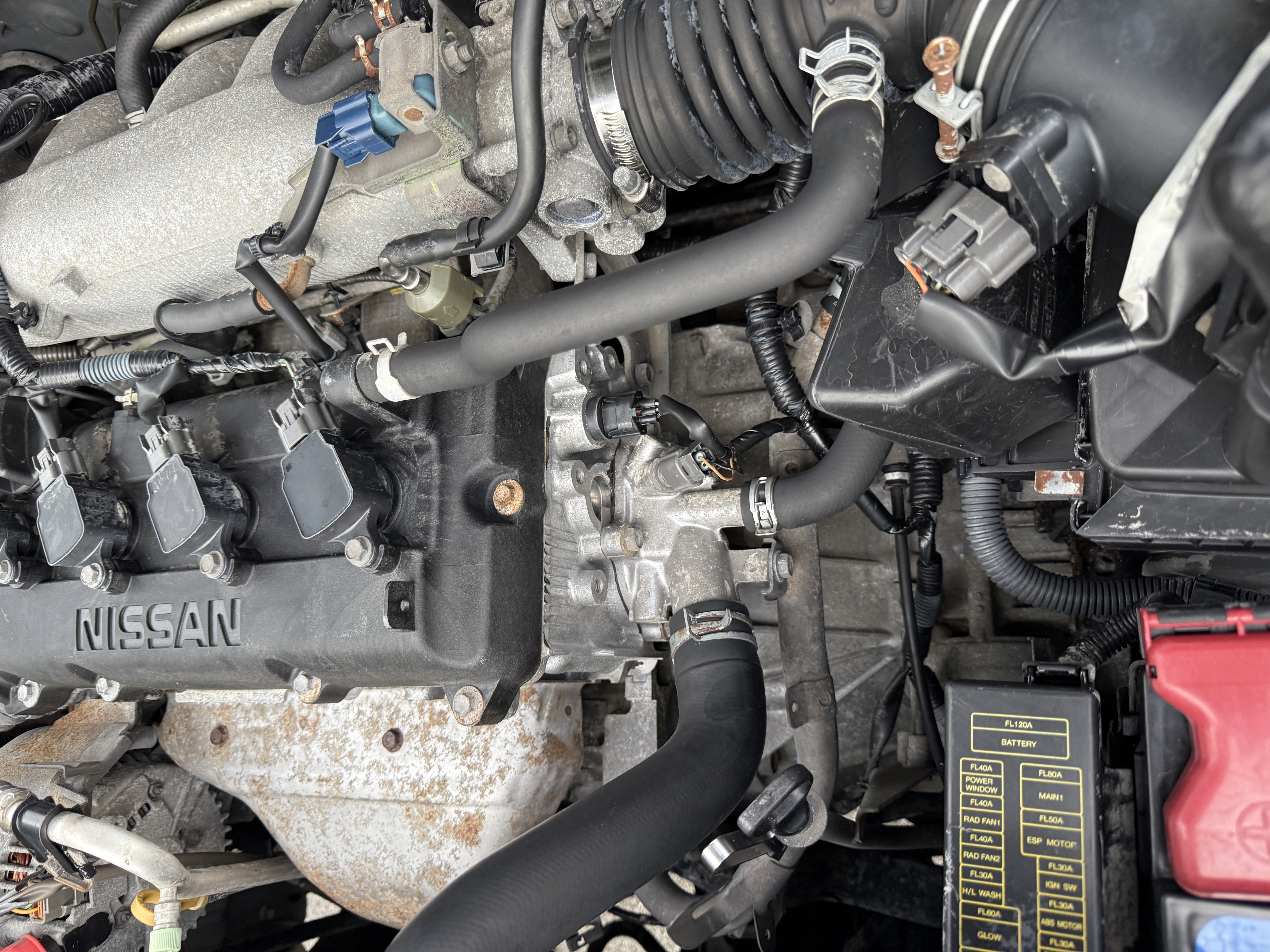 Nissan X-Trail (Imported) 2002 imagen de coche #17