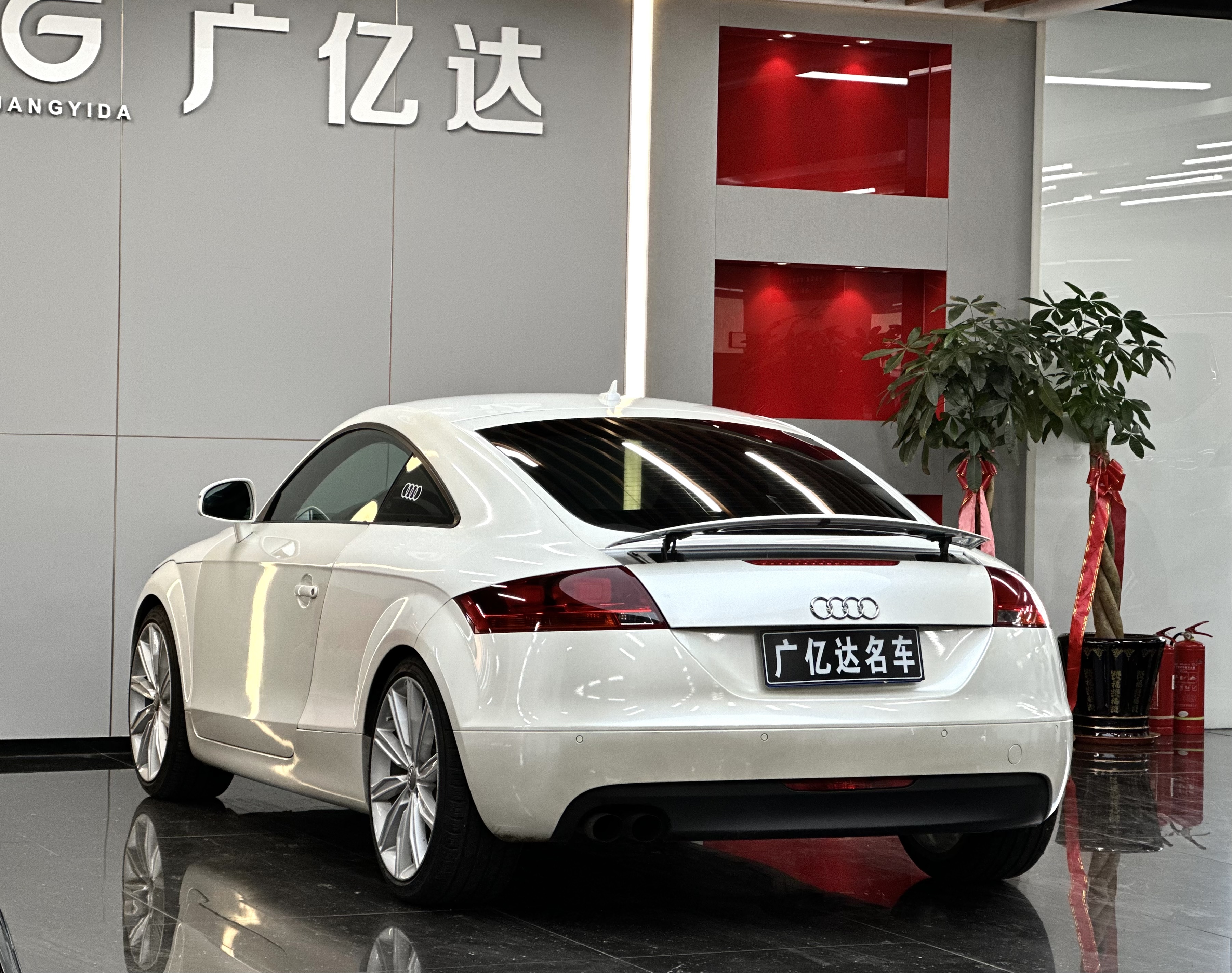 Audi TT 2009 image de voiture #17