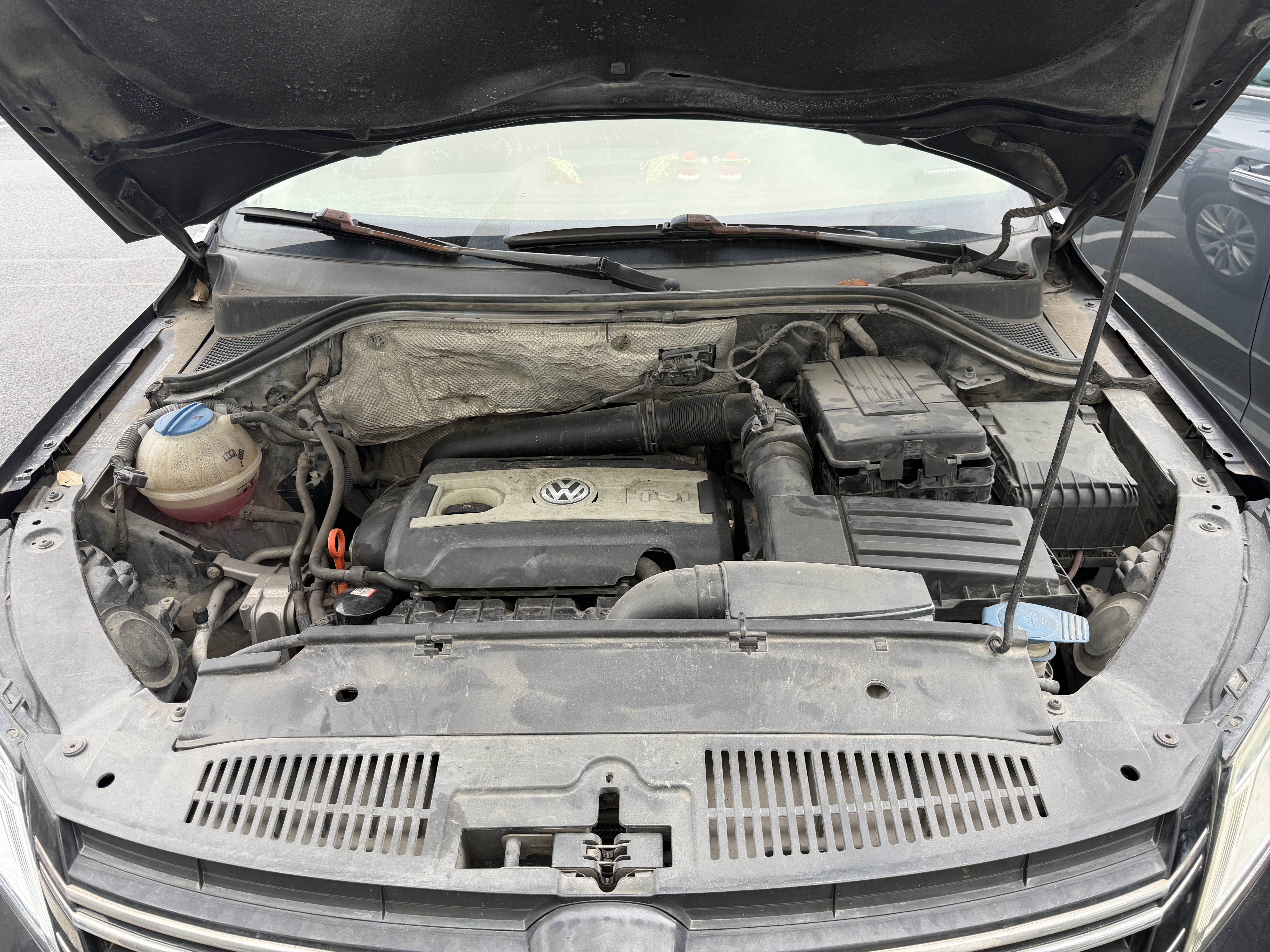 Volkswagen Tiguan 2013 car image #17