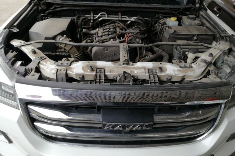 Haval H9 2021 imagen de coche #17