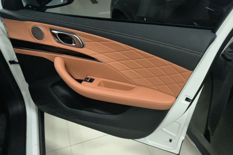 Neta L 2024 imagen de coche #17