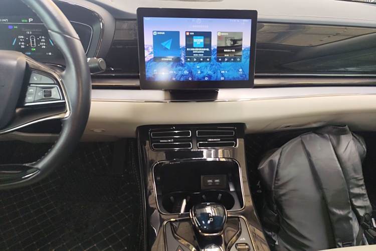 BYD e9 2021 car image #17