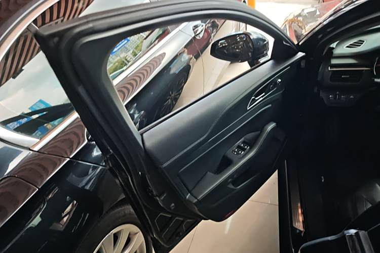 HongQi S9 2021 car image #17