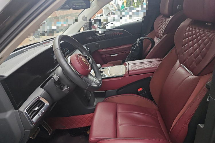 HongQi E-HS9 2022 car image #17