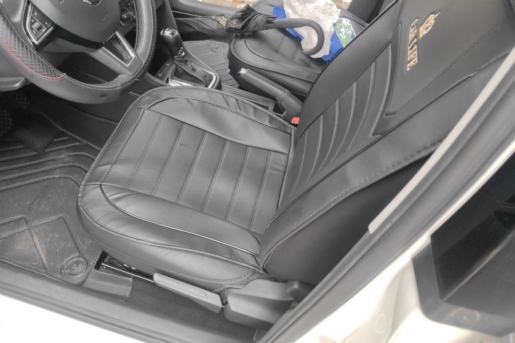 Skoda Rapid 2019 imagen de coche #17