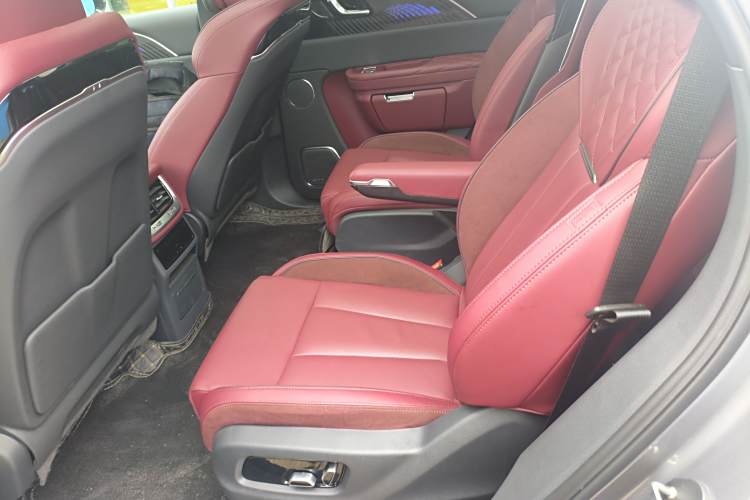 HongQi E-HS9 2023 immagine di auto #17