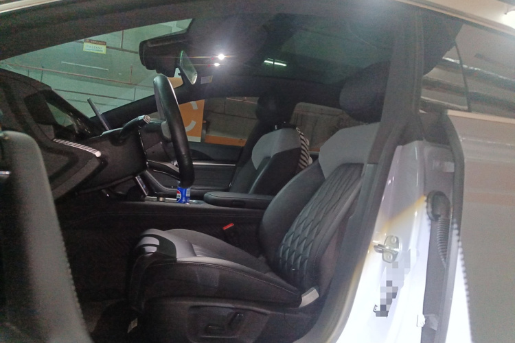 Neta S Shooting Brake 2024 image de voiture #17