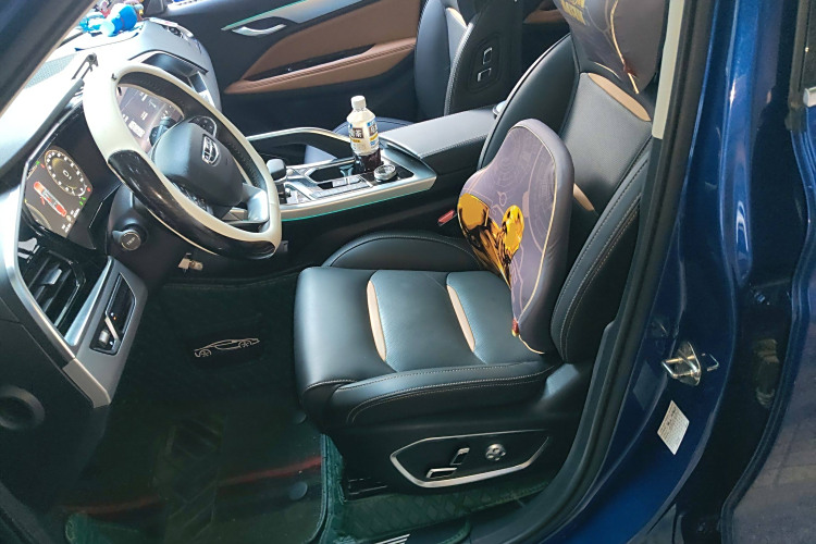 GEELY Tugella New Energy 2020 car image #17