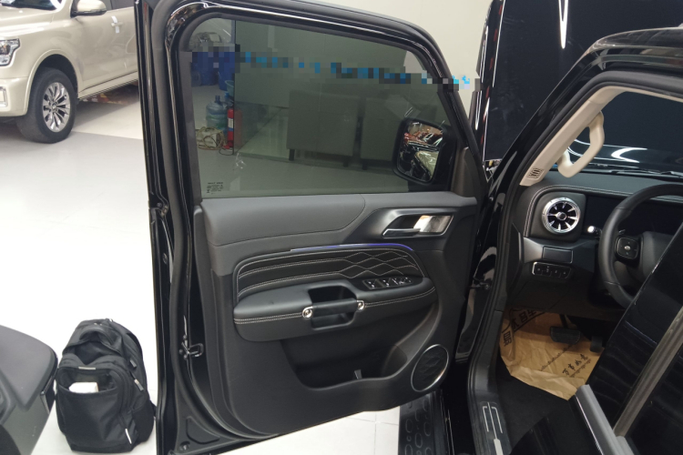 Tank 300 New Energy 2025 car image #17